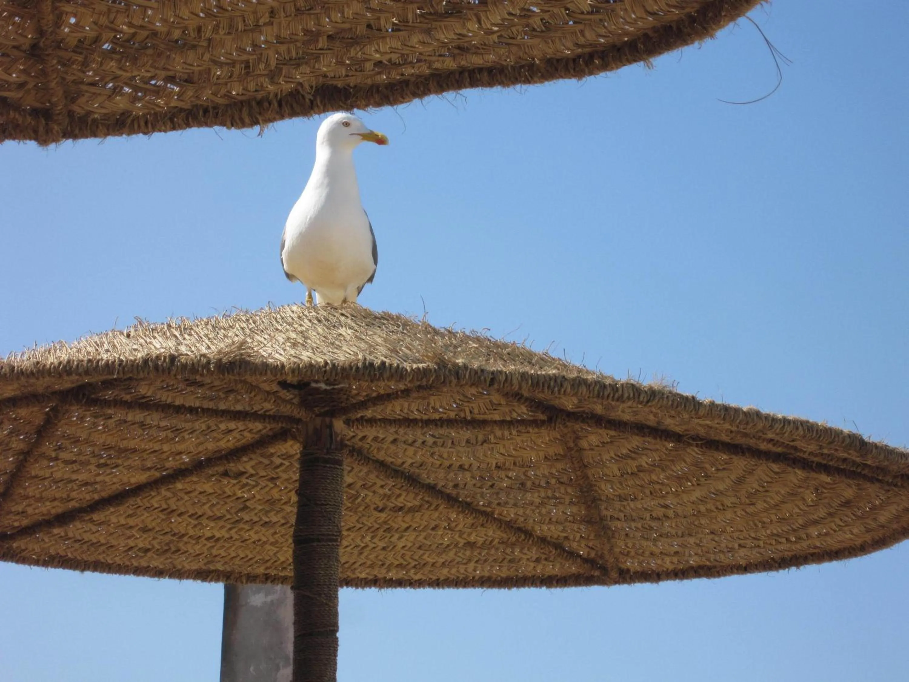 Other in Hotel Riad Ben Atar