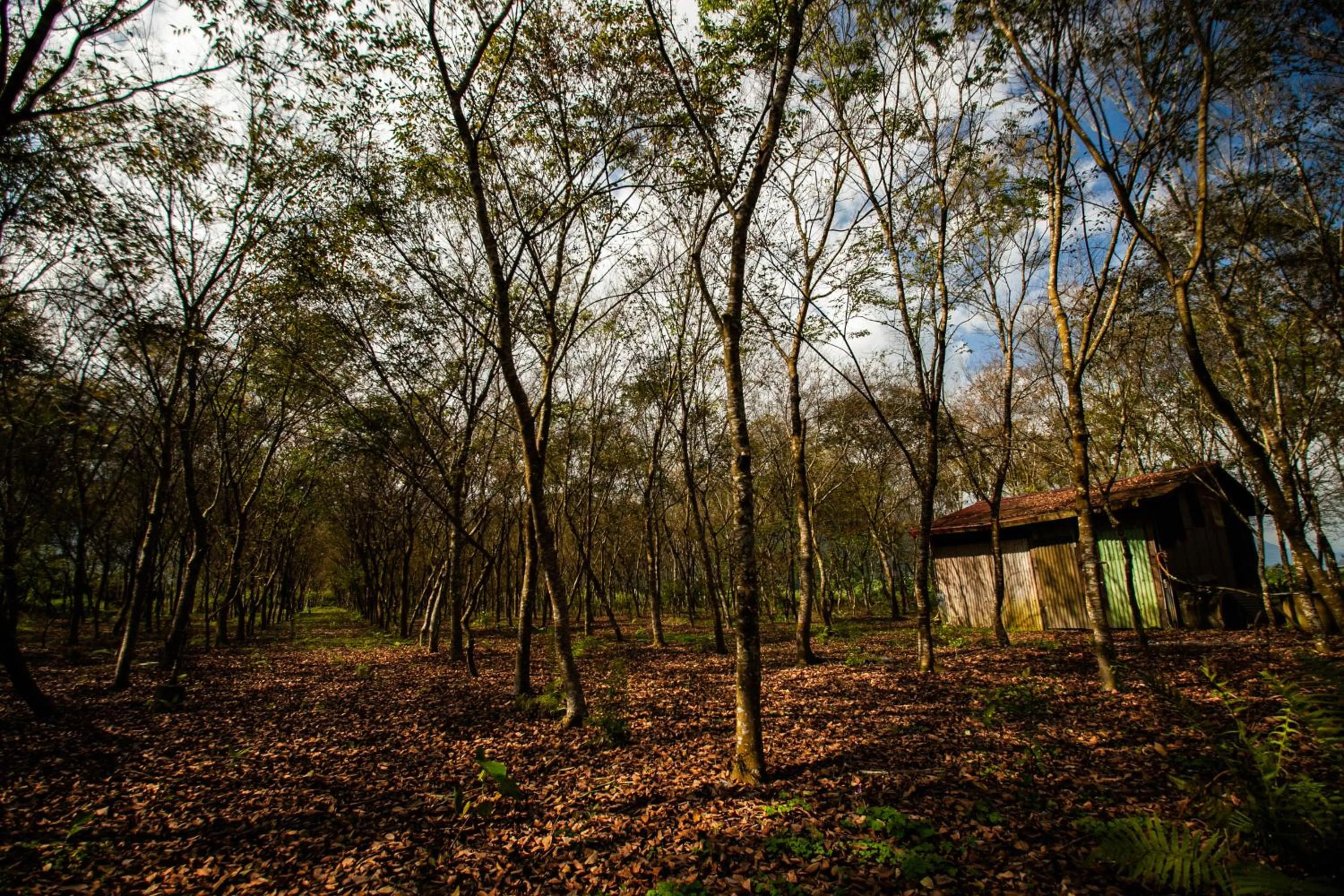 Natural landscape in Countryside B&B