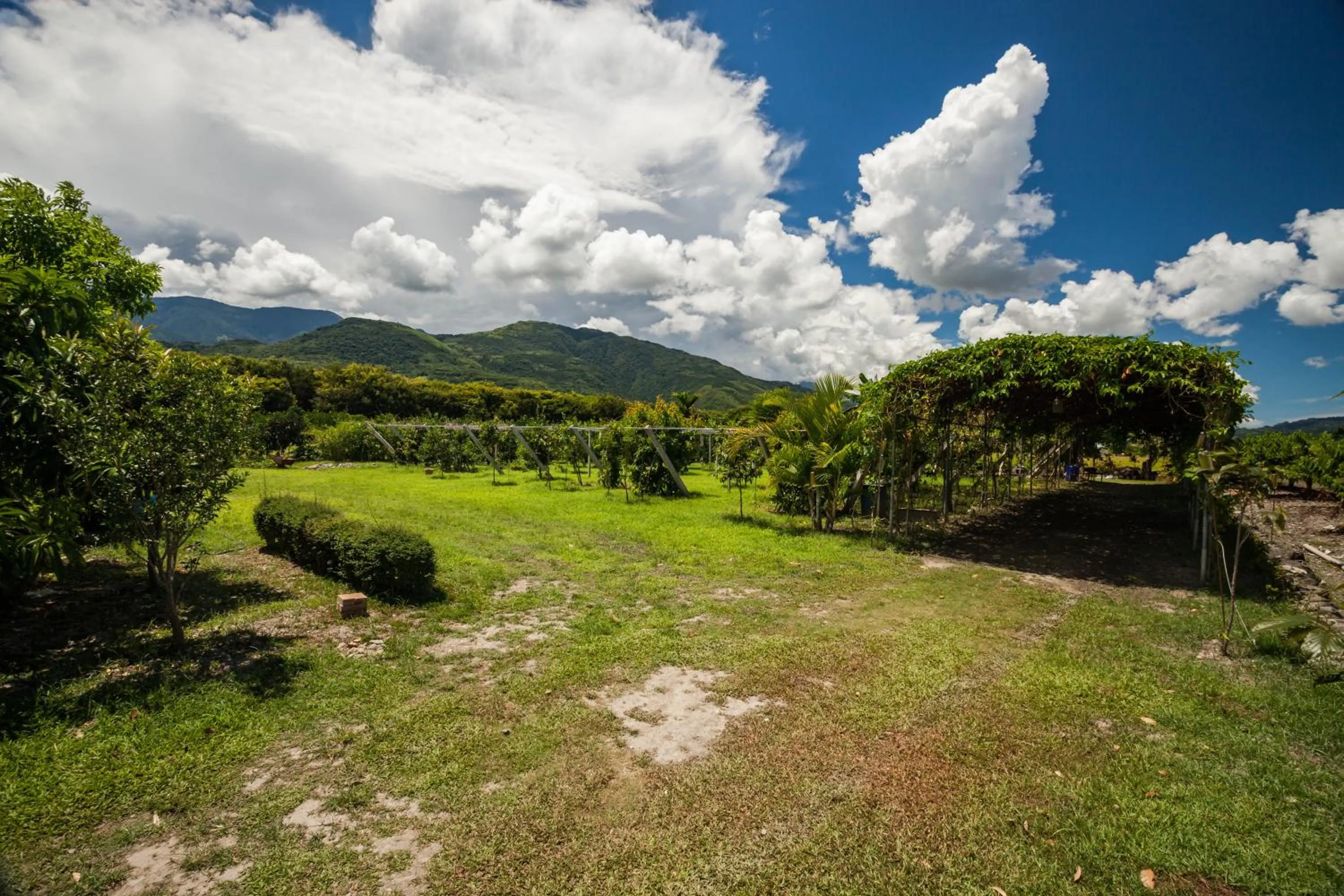 Garden in Countryside B&B