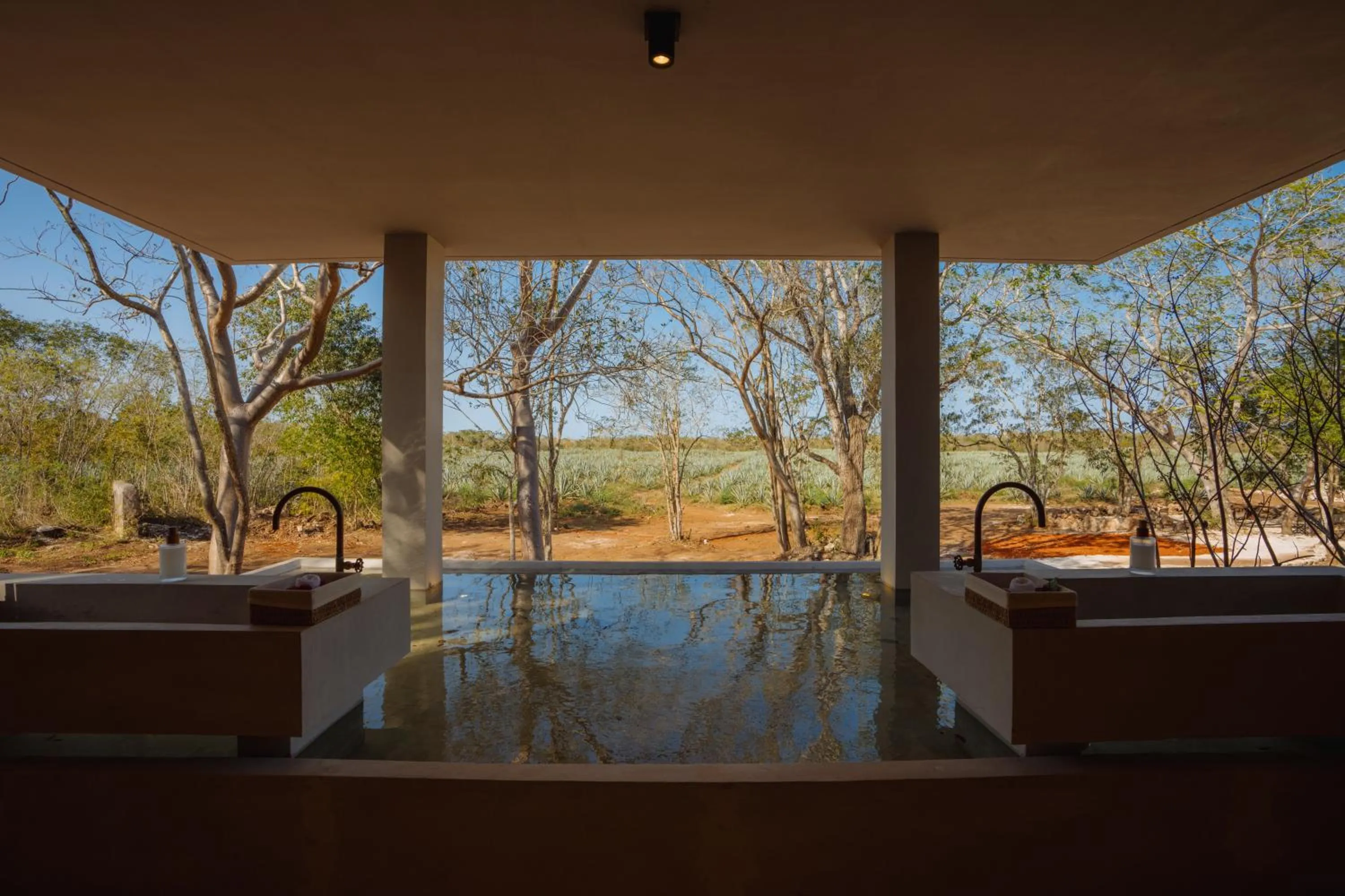 Natural landscape in Viatura Hacienda Xtojil, Yucatan, Merida, with Optional All Inclusive