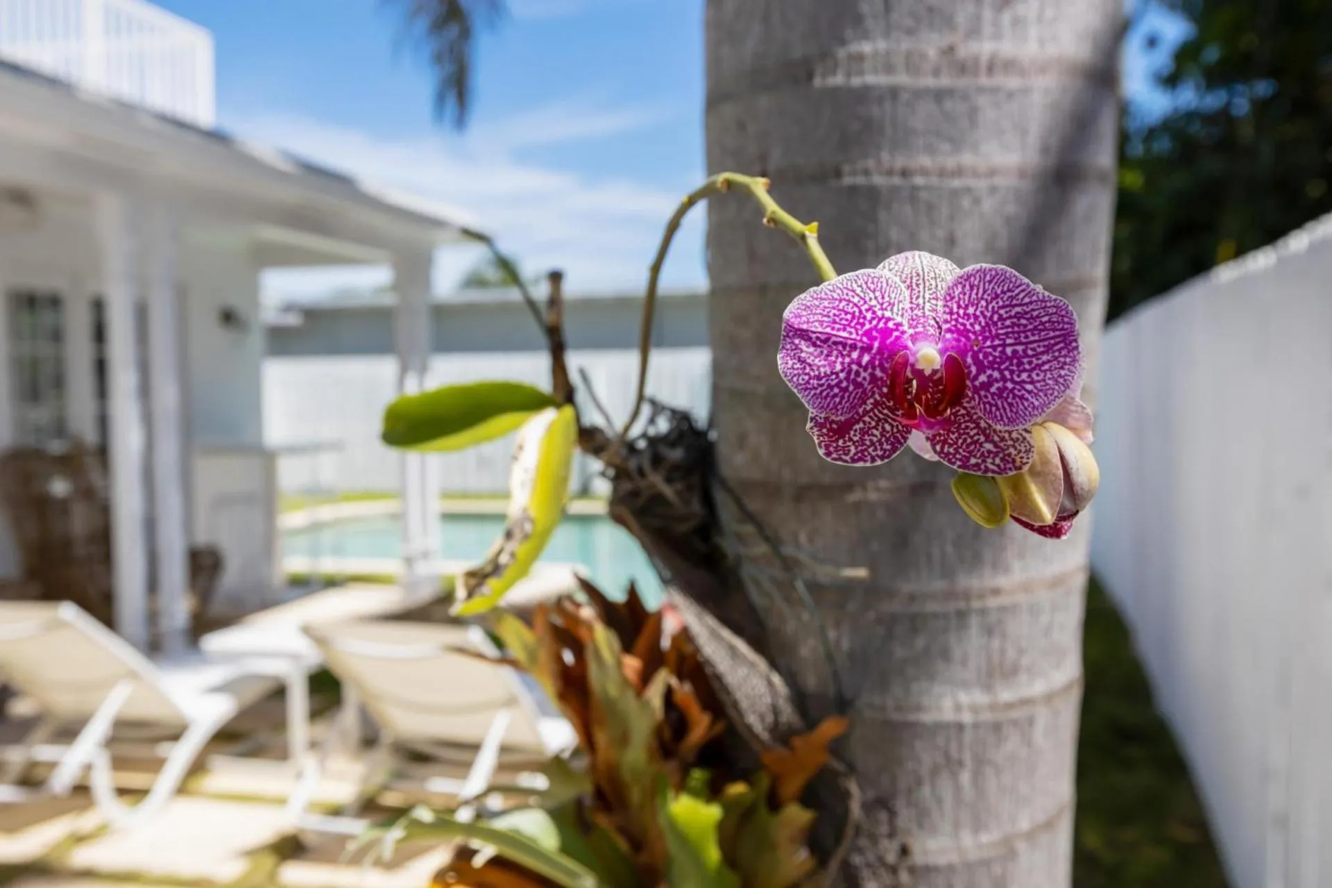 Spring in Santa Lucia Estate - Hotel Homes