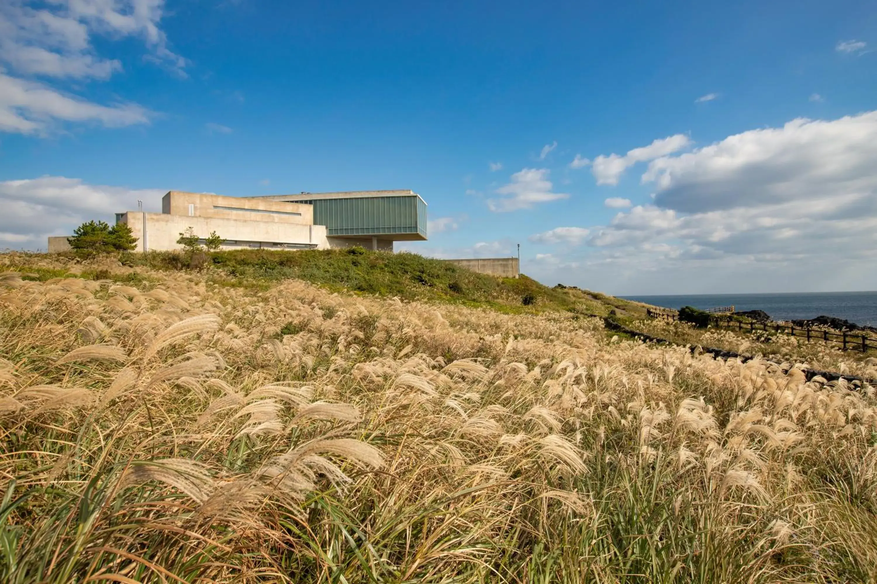 Property building in Phoenix Island Property building in Phoenix Island