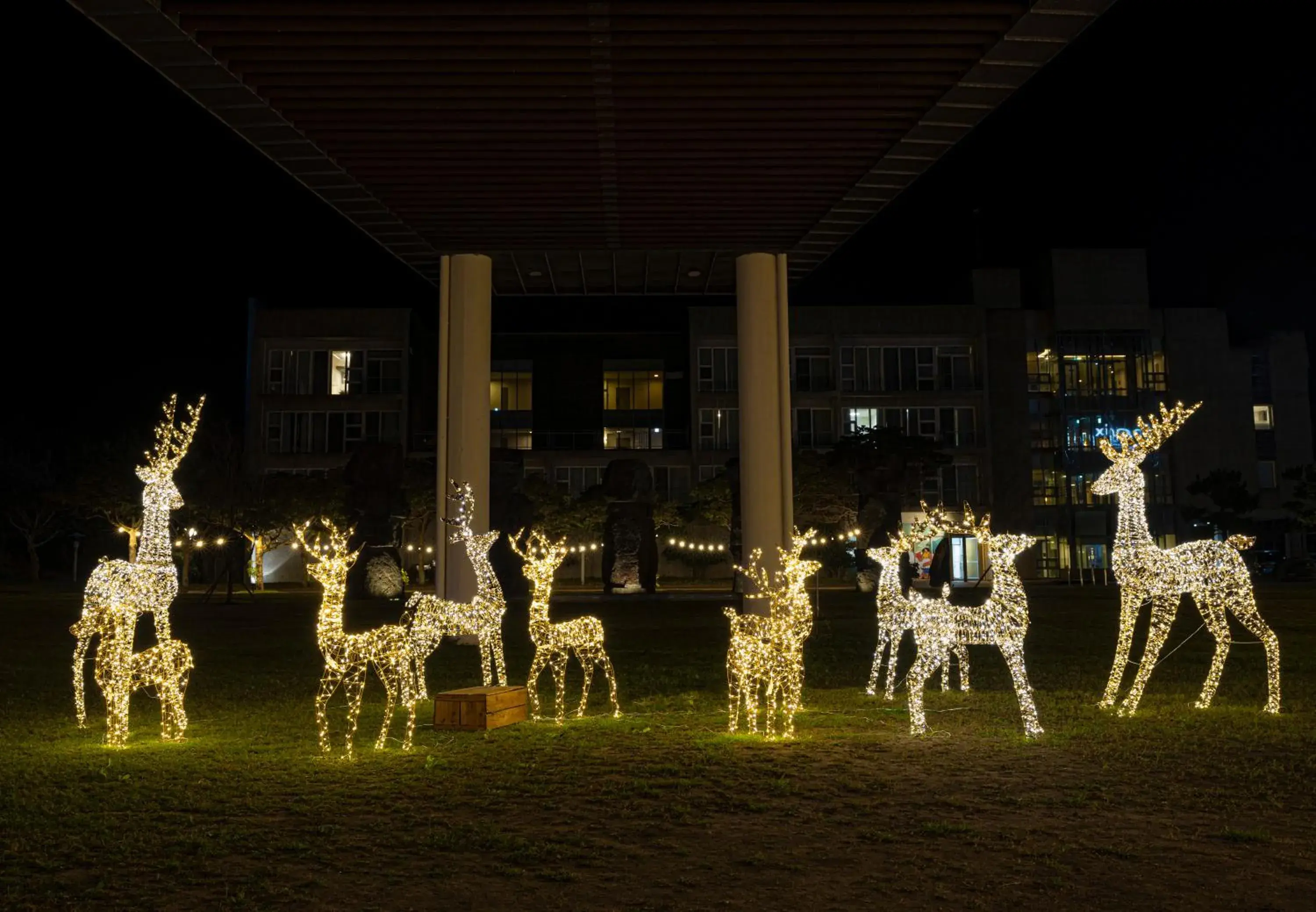 Lobby or reception in Phoenix Island Lobby or reception in Phoenix Island