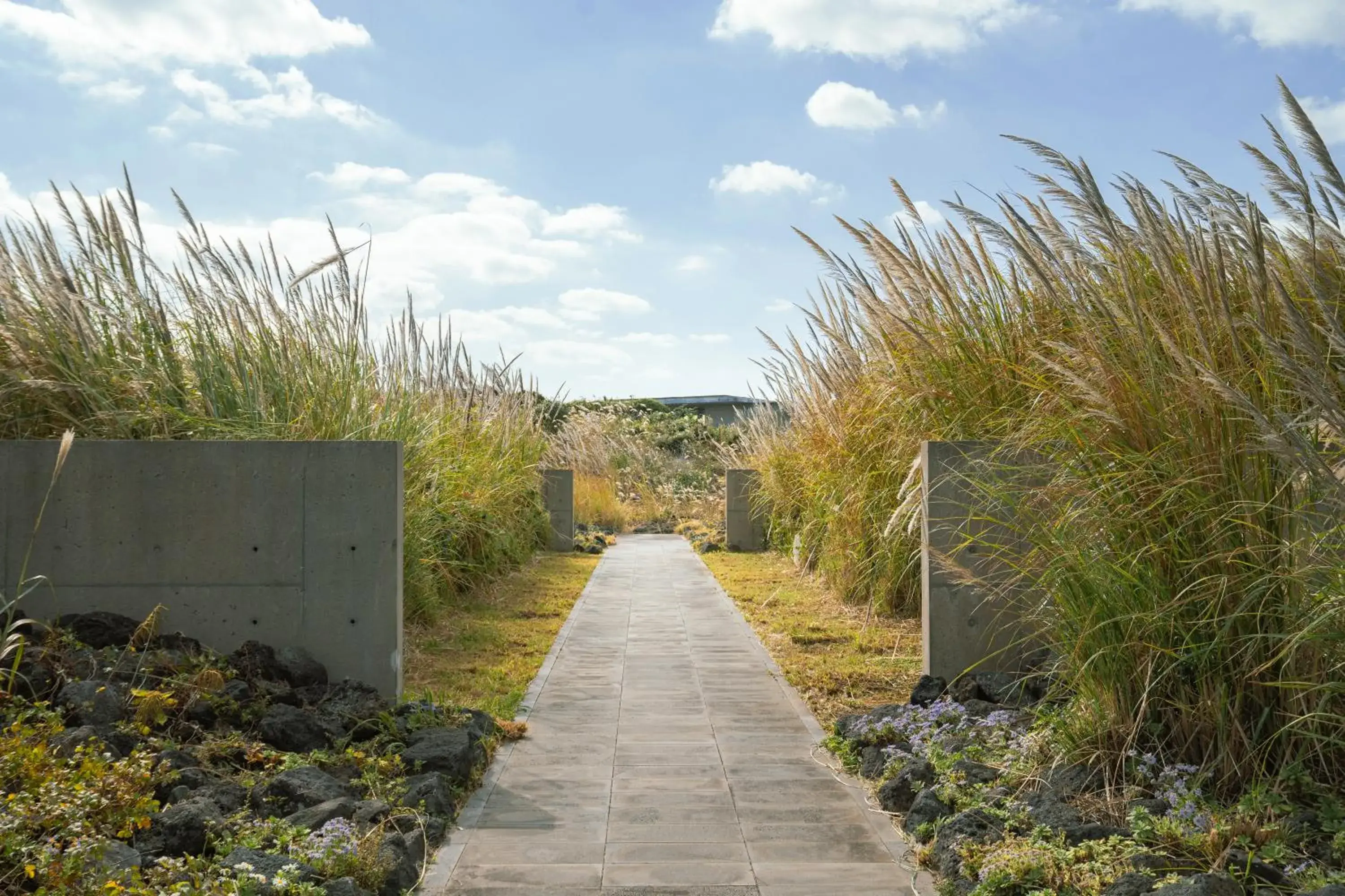 Property building in Phoenix Island Property building in Phoenix Island
