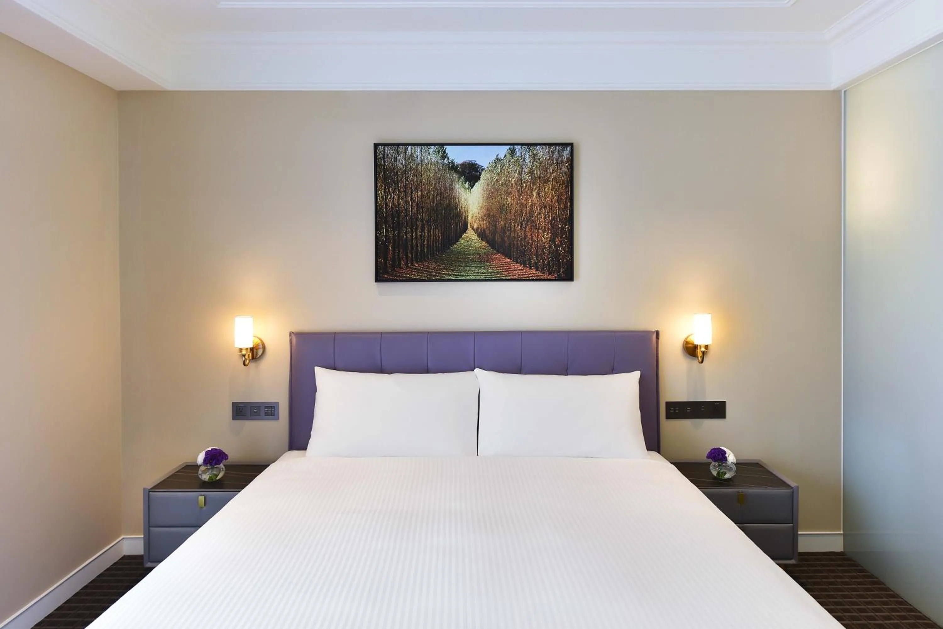 Bed in Fullon Poshtel - Shuili