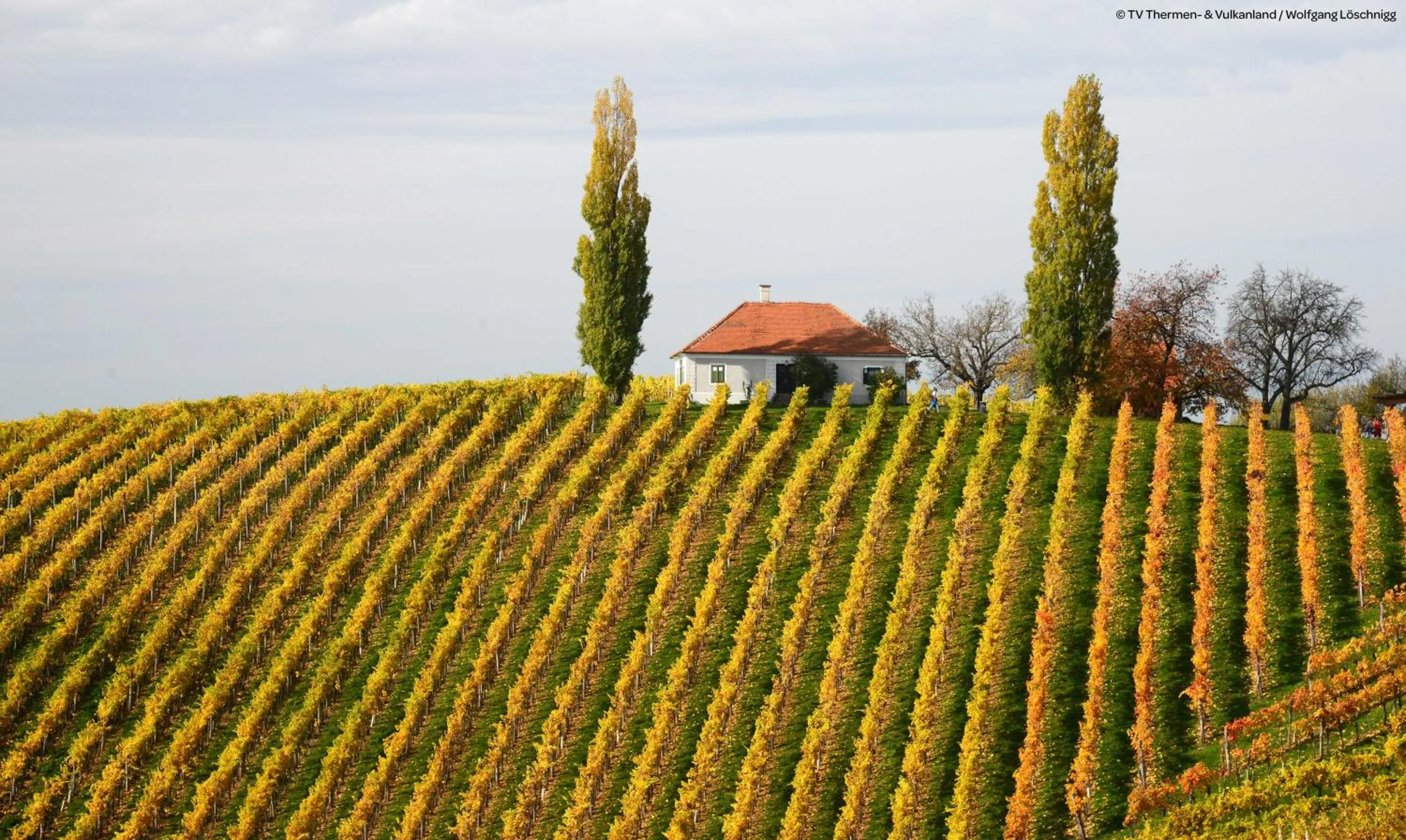 Hiking in JUFA Hotel Bad Radkersburg - inkl 4h Thermeneintritt in Parktherme