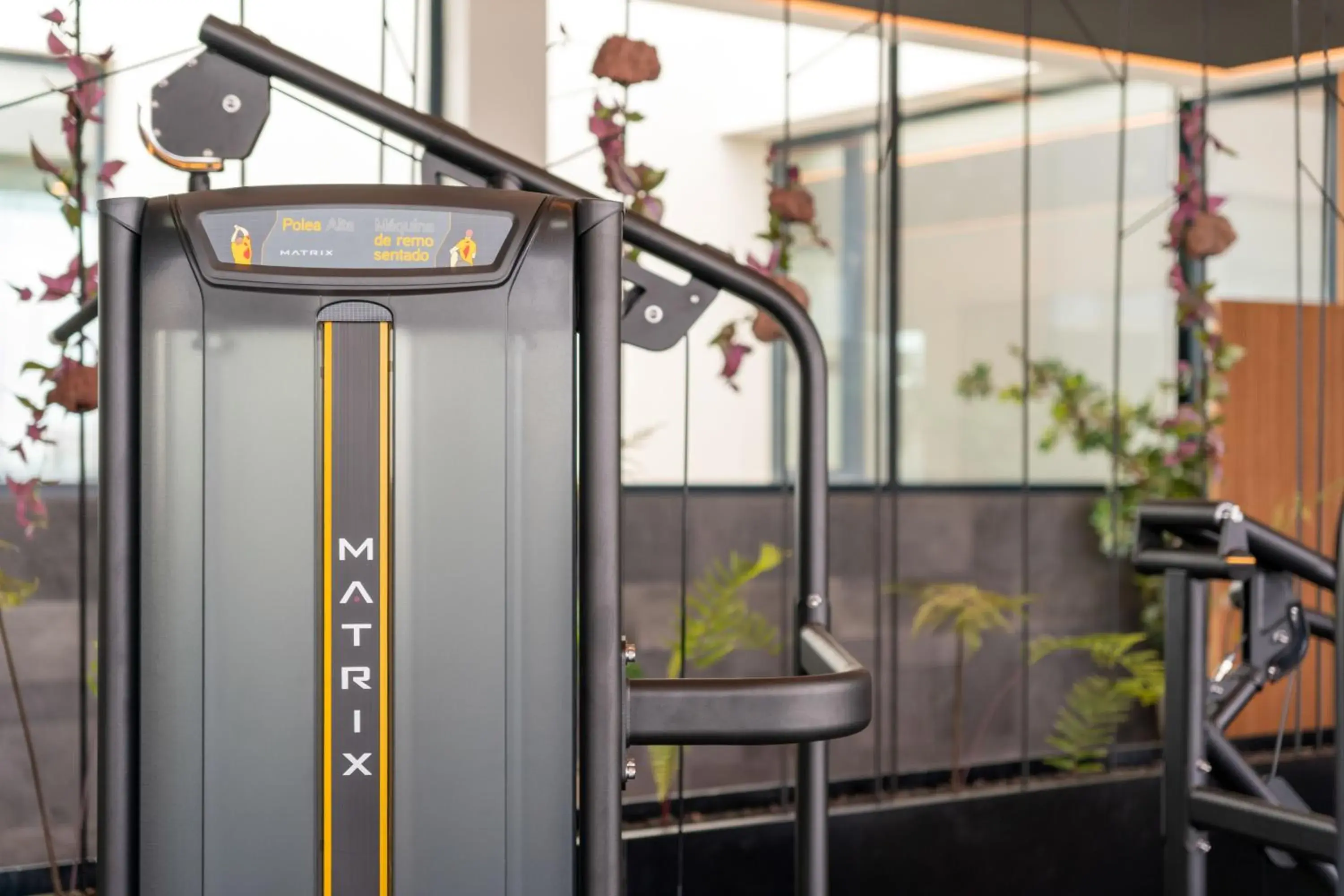 Fitness centre/facilities in Barceló Playa Blanca Royal Level - Adults Only Fitness centre/facilities in Barceló Playa Blanca Royal Level - Adults Only