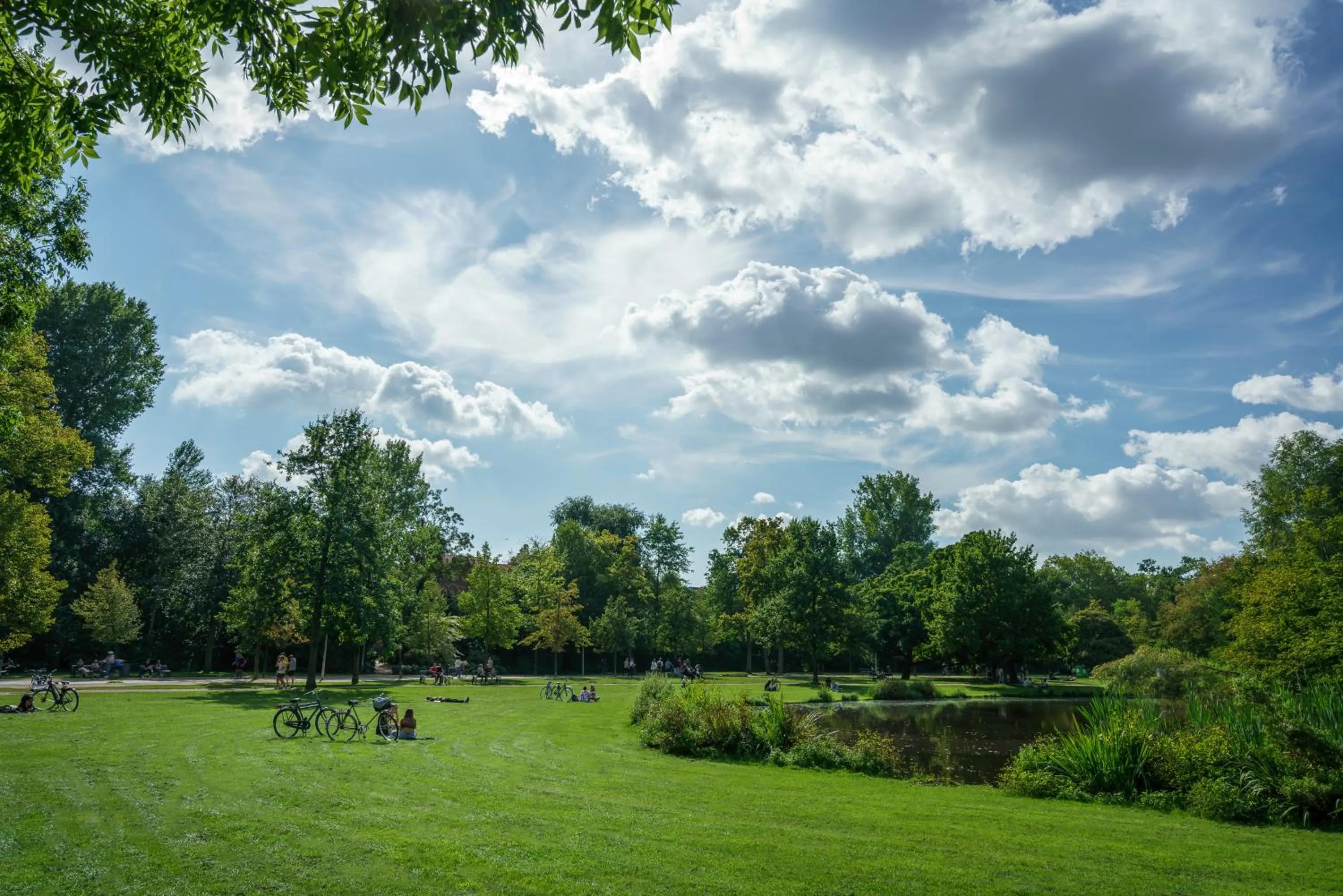 Natural landscape in Hotel City Garden Amsterdam