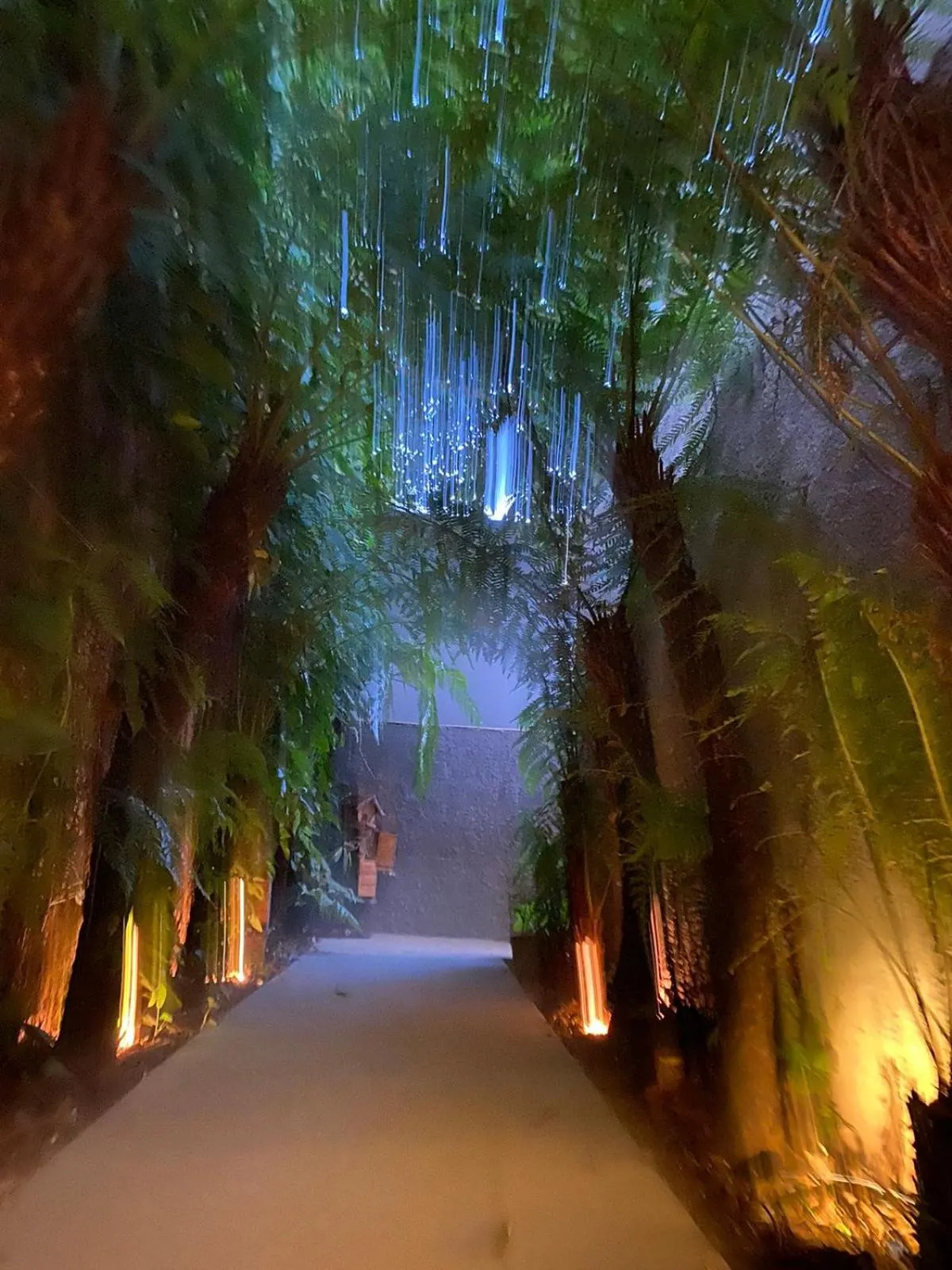 Garden in Mirante Pousada Boutique