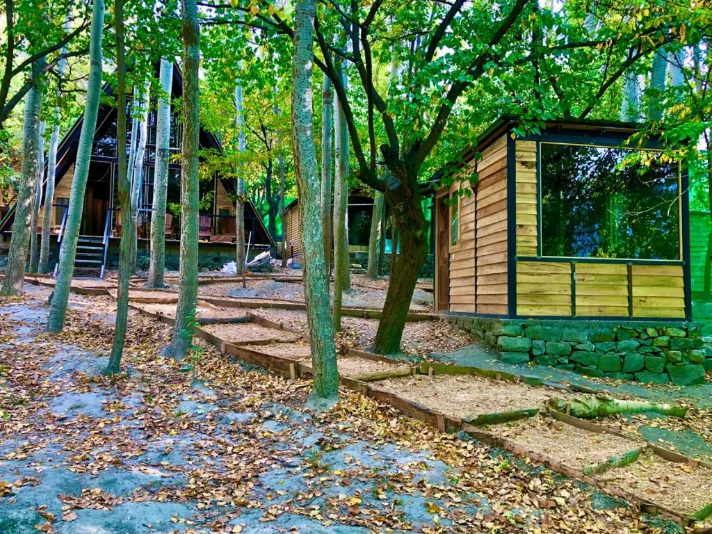 Garden in The 2 Magpies, Hunza