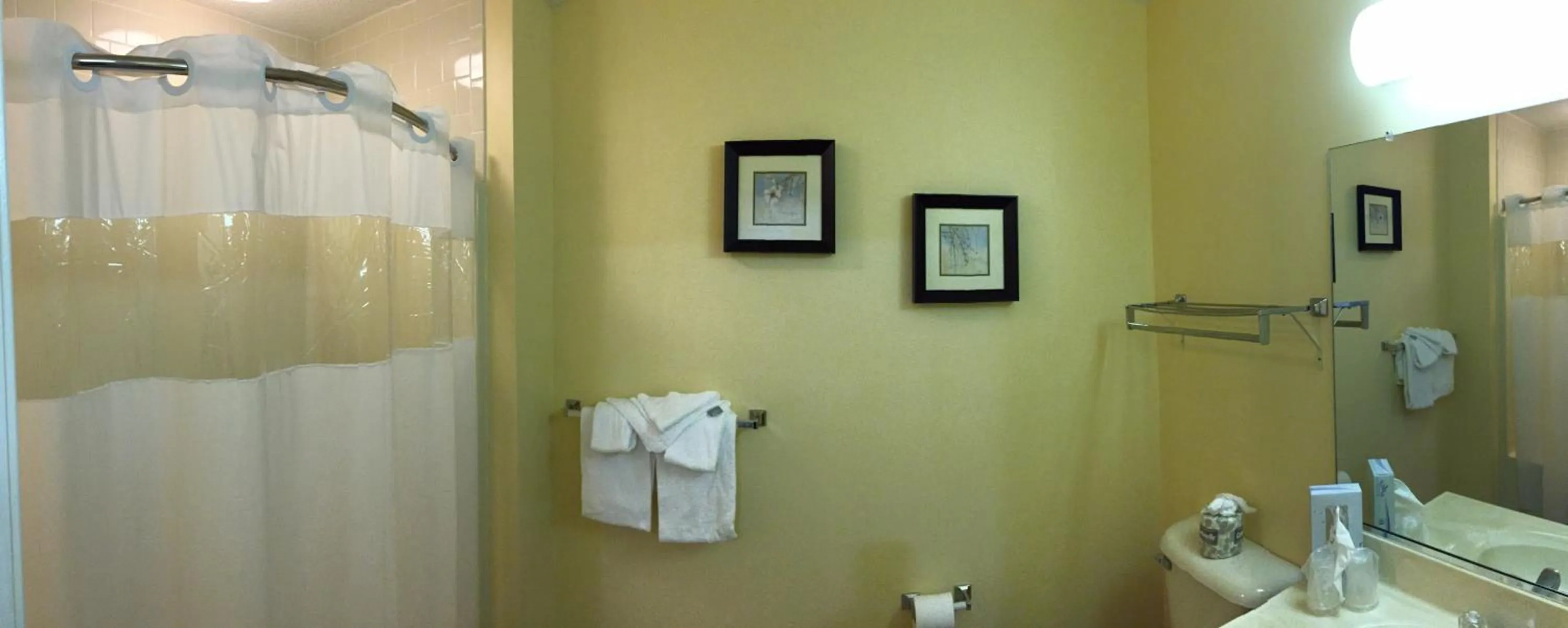 Bathroom in Massanutten Resort