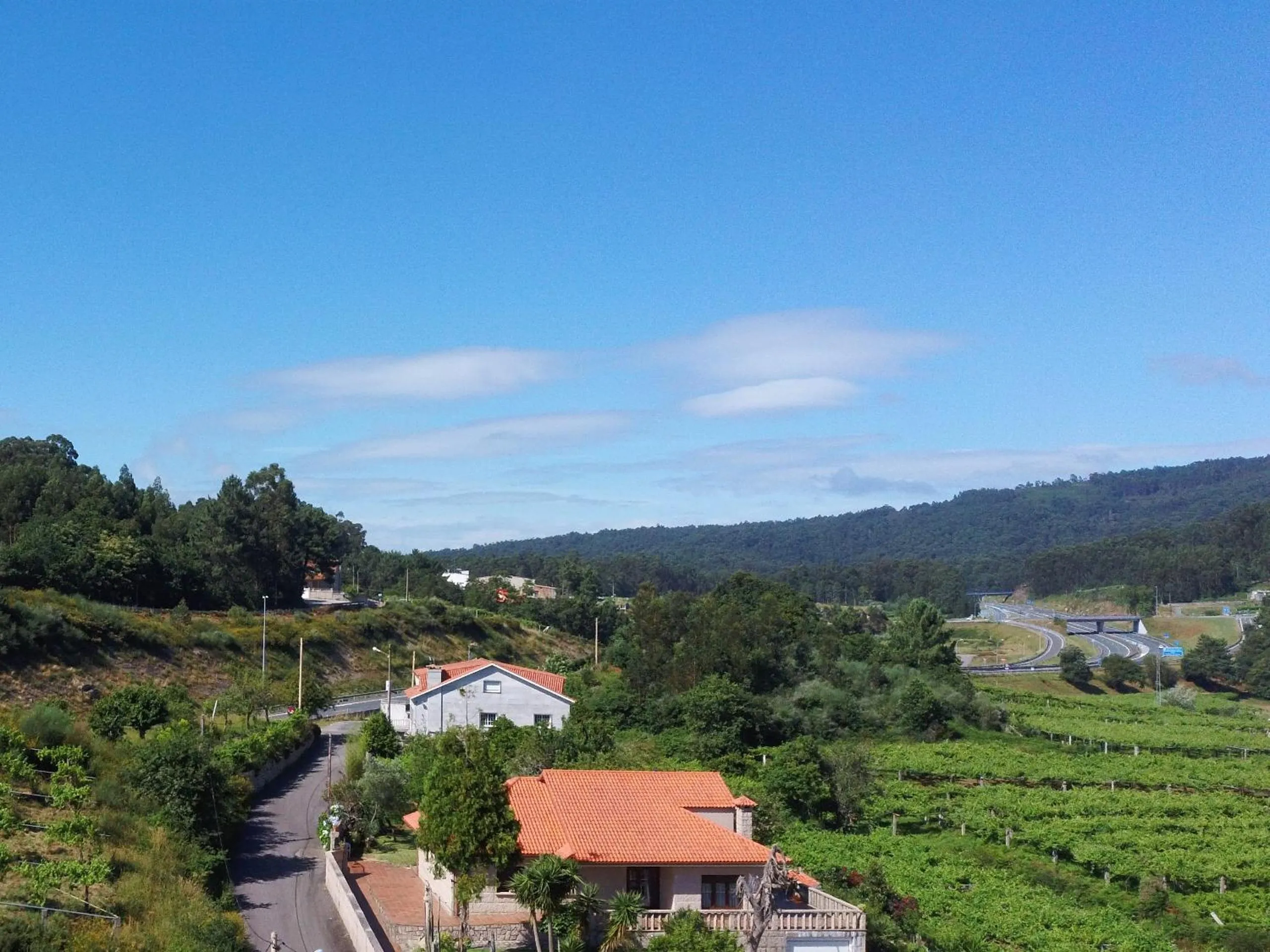 Natural landscape in O Lar de Pereiras
