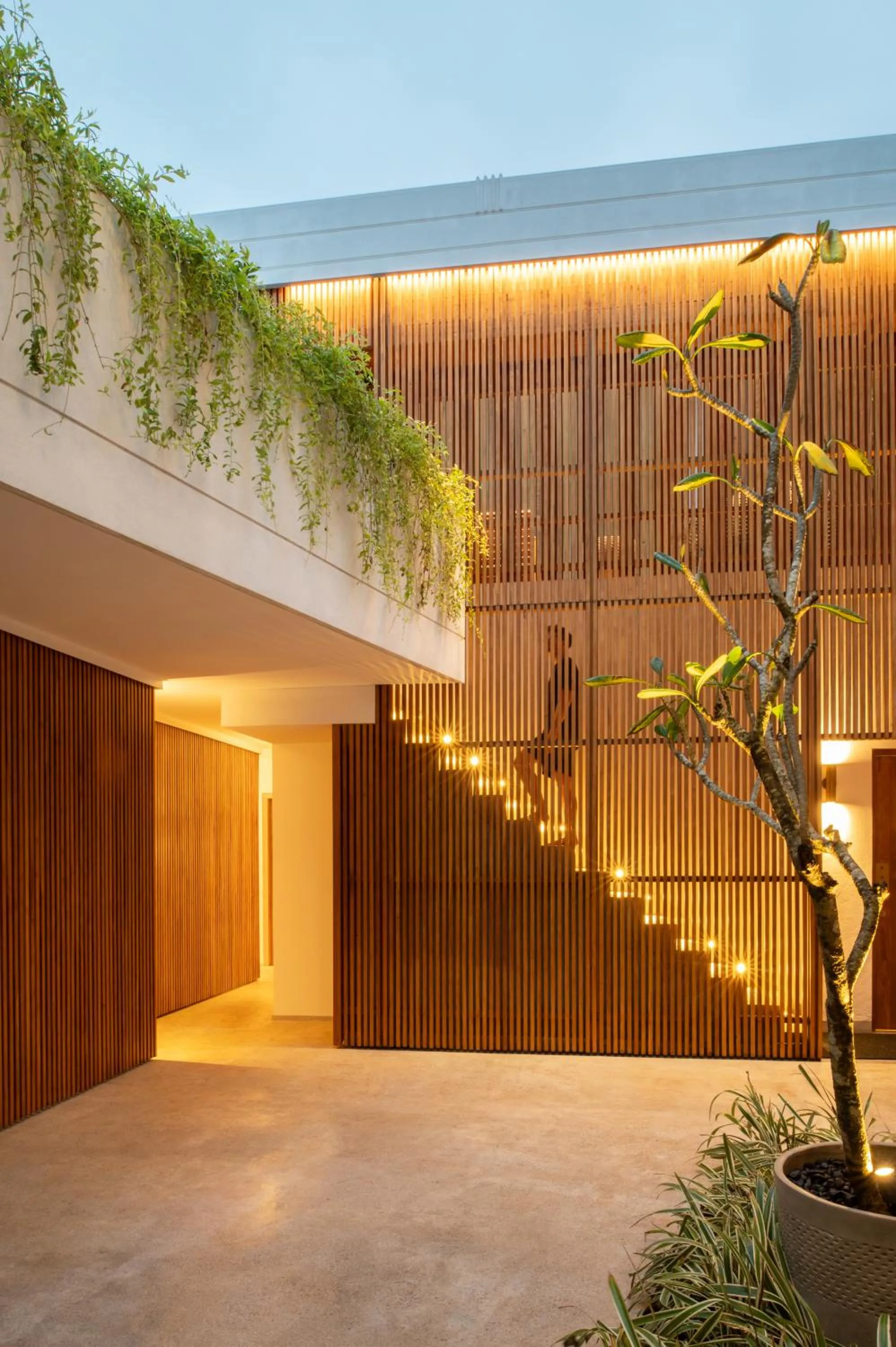 Property building in The Charleston