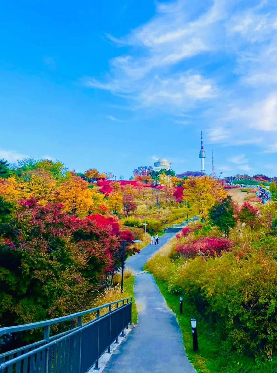 Nearby landmark in Hotel dongyangjang Dongdaemun-Jongno