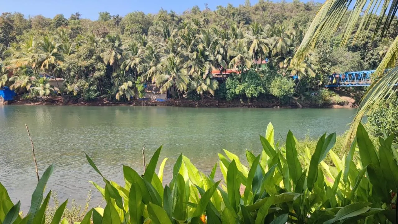 River view in Pont Bleu Suites Riverside & Pool