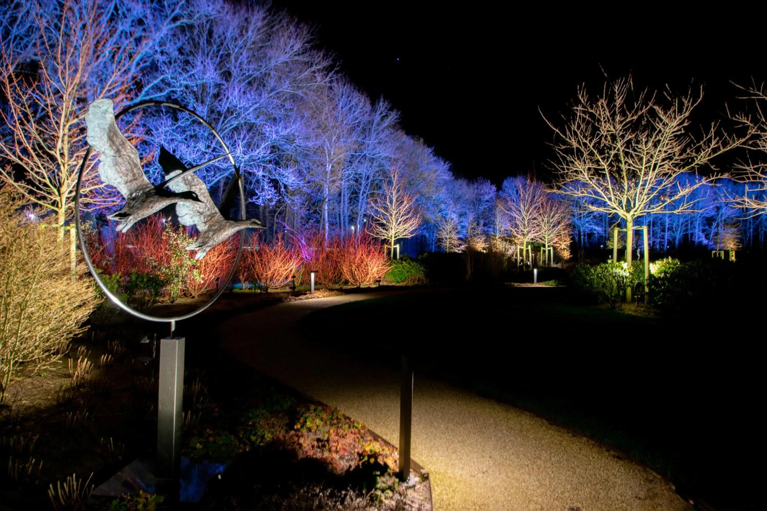 Night in Fletcher Parkhotel De Wiemsel