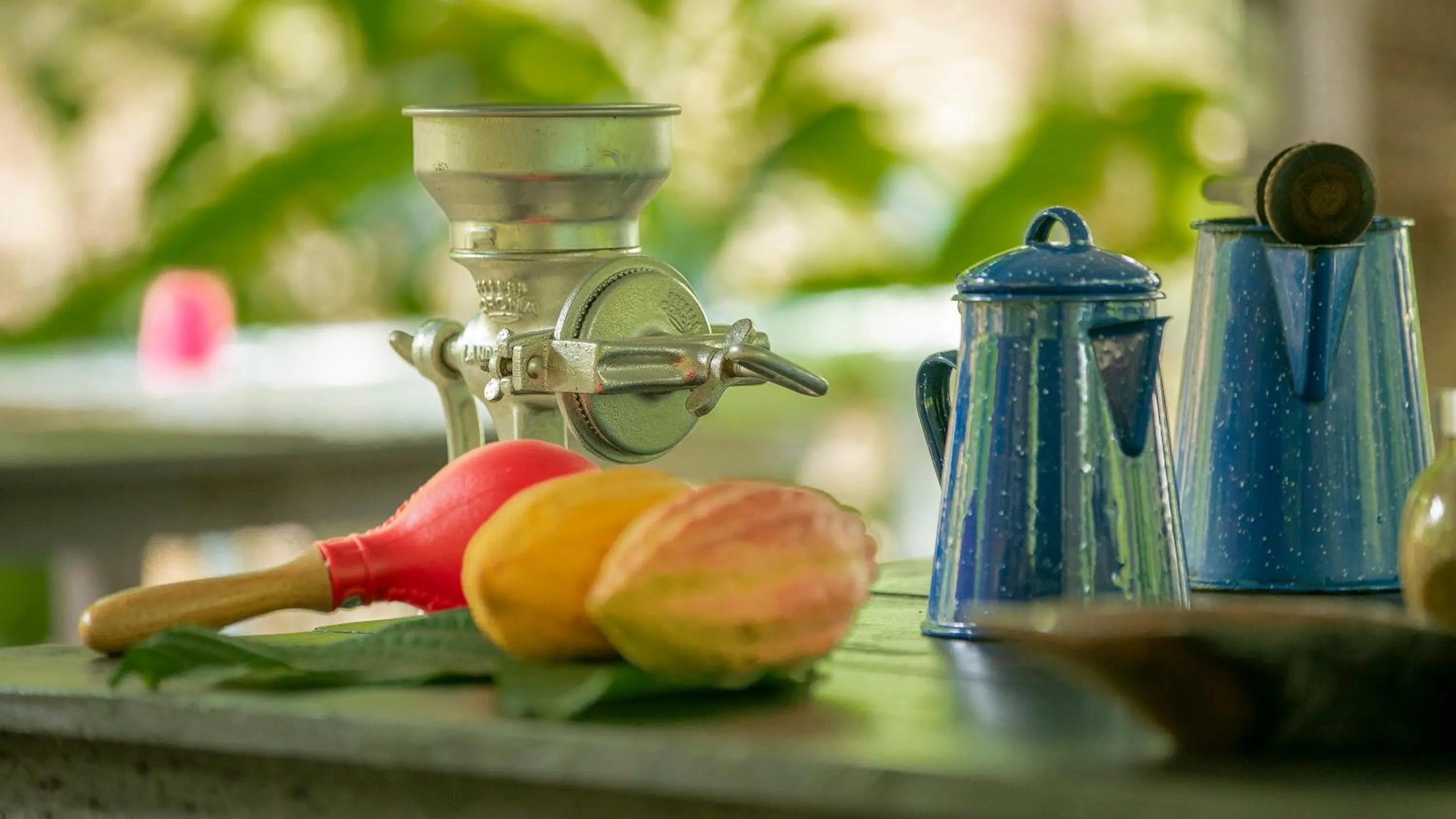 Activities in Eden Organic Farm & Bungalows