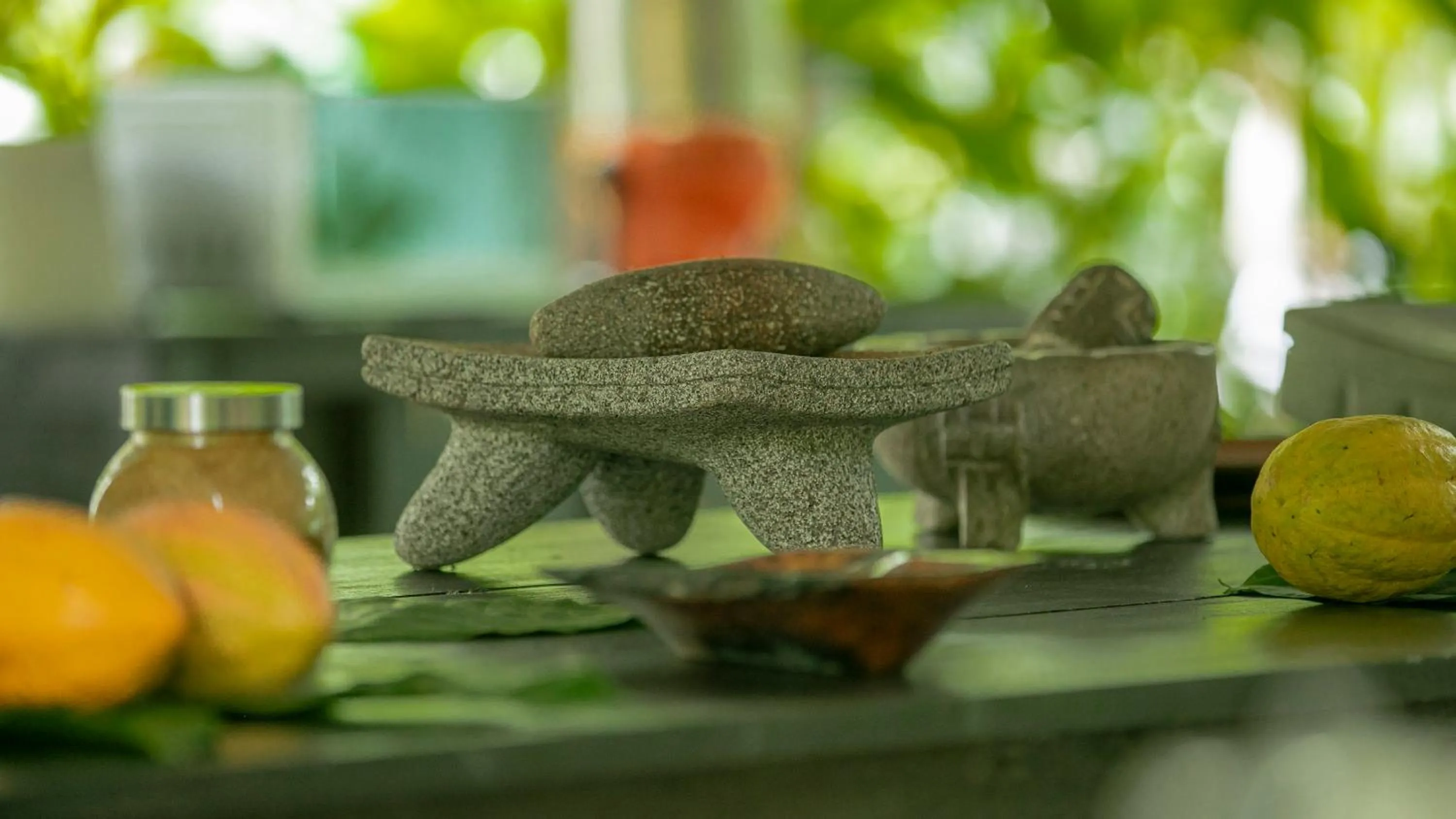 Activities in Eden Organic Farm & Bungalows