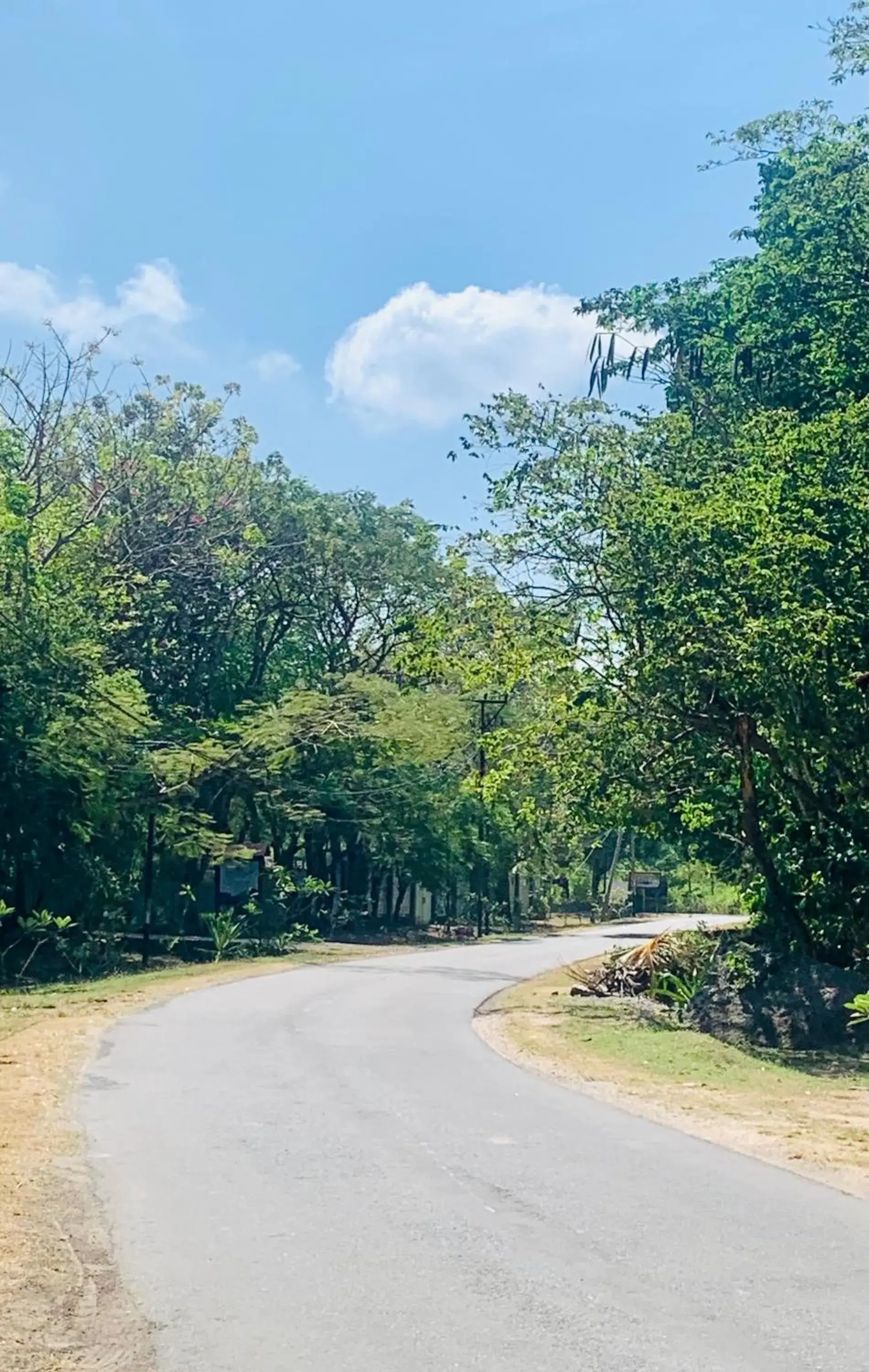 Street view in Balong Balong Surf Bungalows & Restaurant Street view in Balong Balong Surf Bungalows & Restaurant