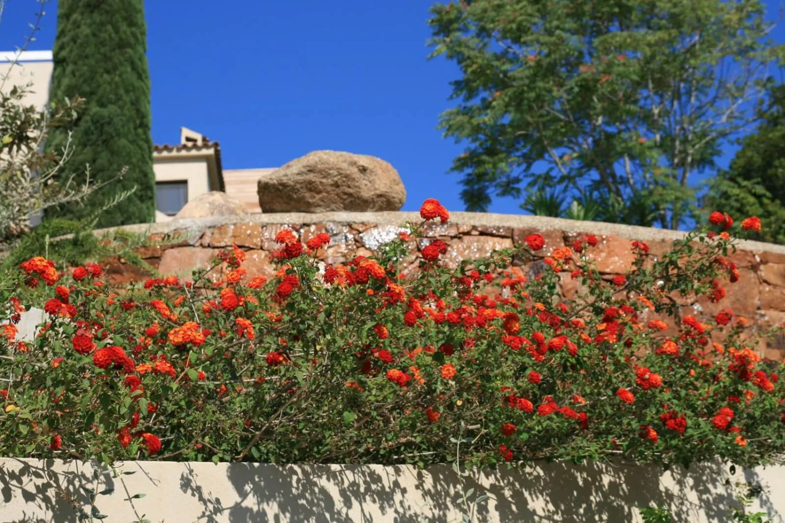 Garden in La chambre d'Aphrodite avec jacuzzi vue mer