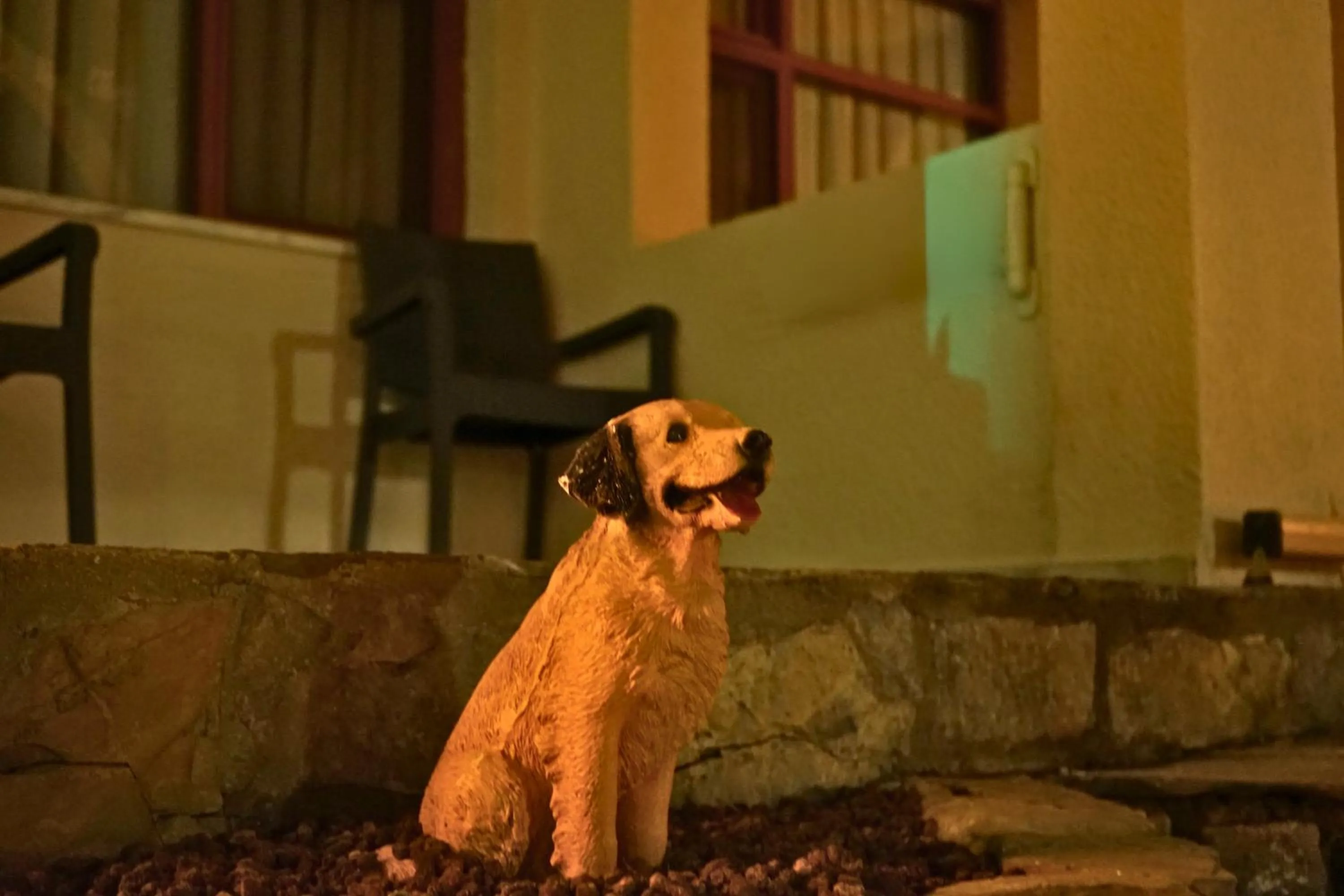Garden in Oscar Seaside Hotel & Spa