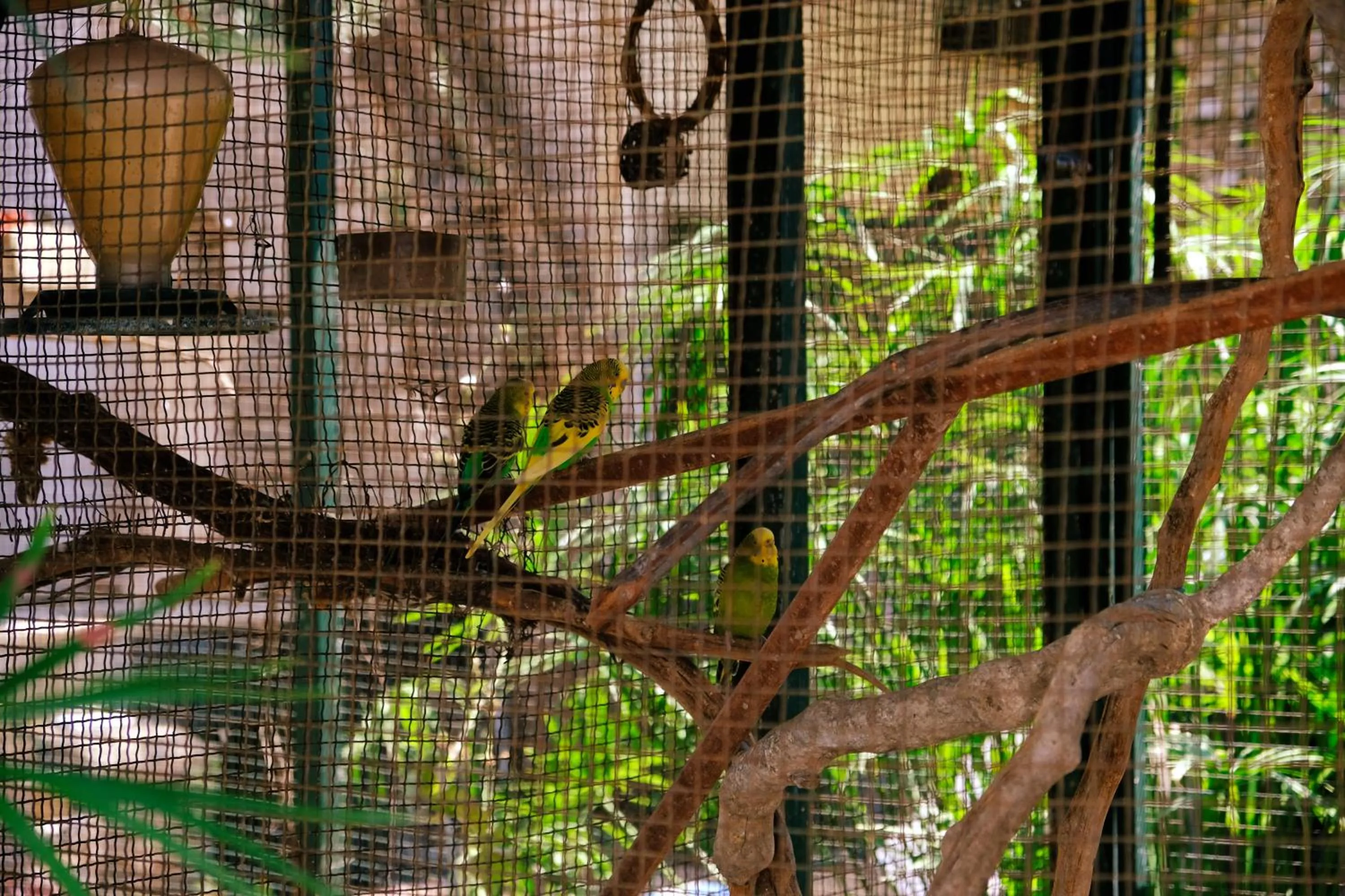Garden in Oscar Seaside Hotel & Spa
