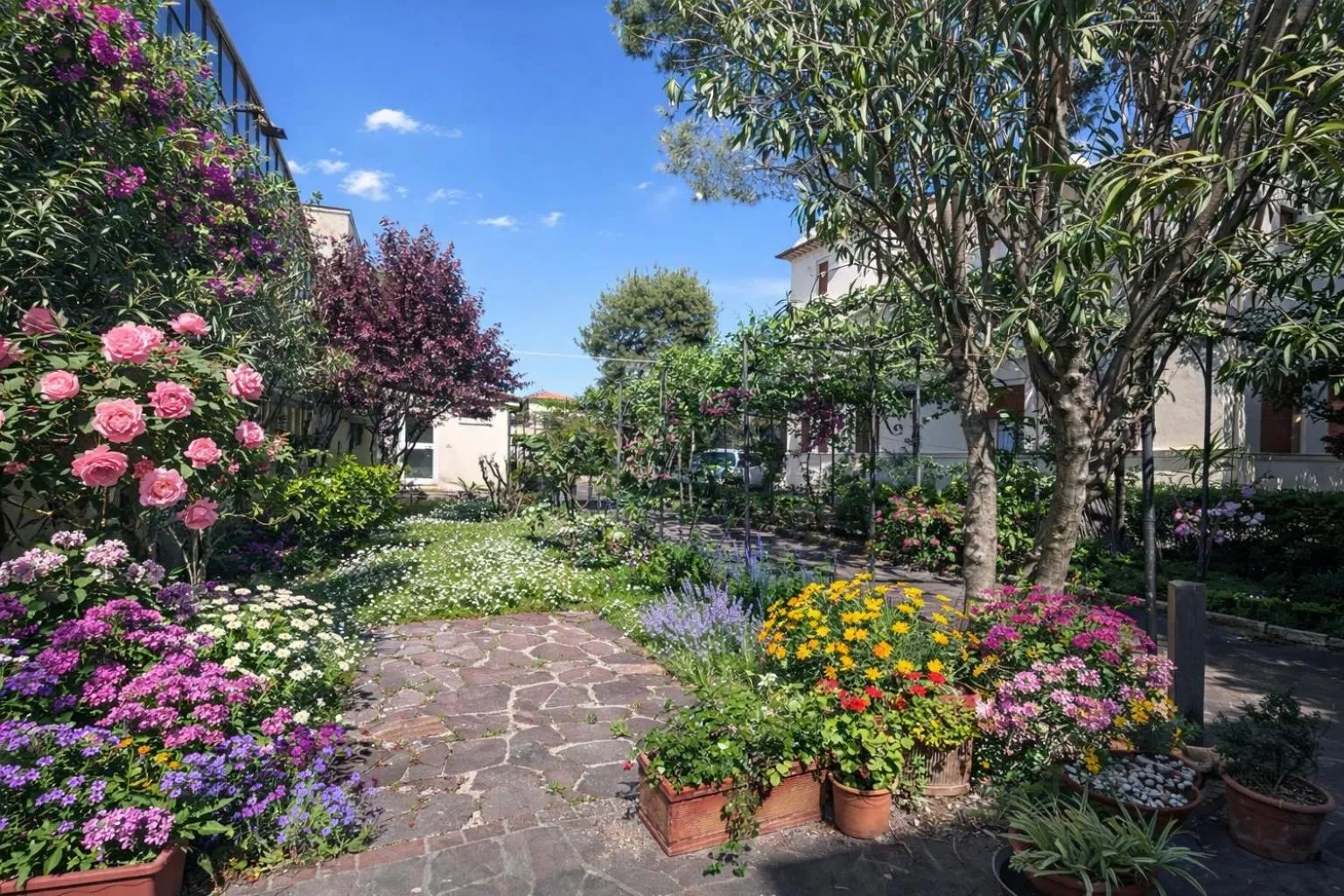 Garden view in Hotel Villa Pina