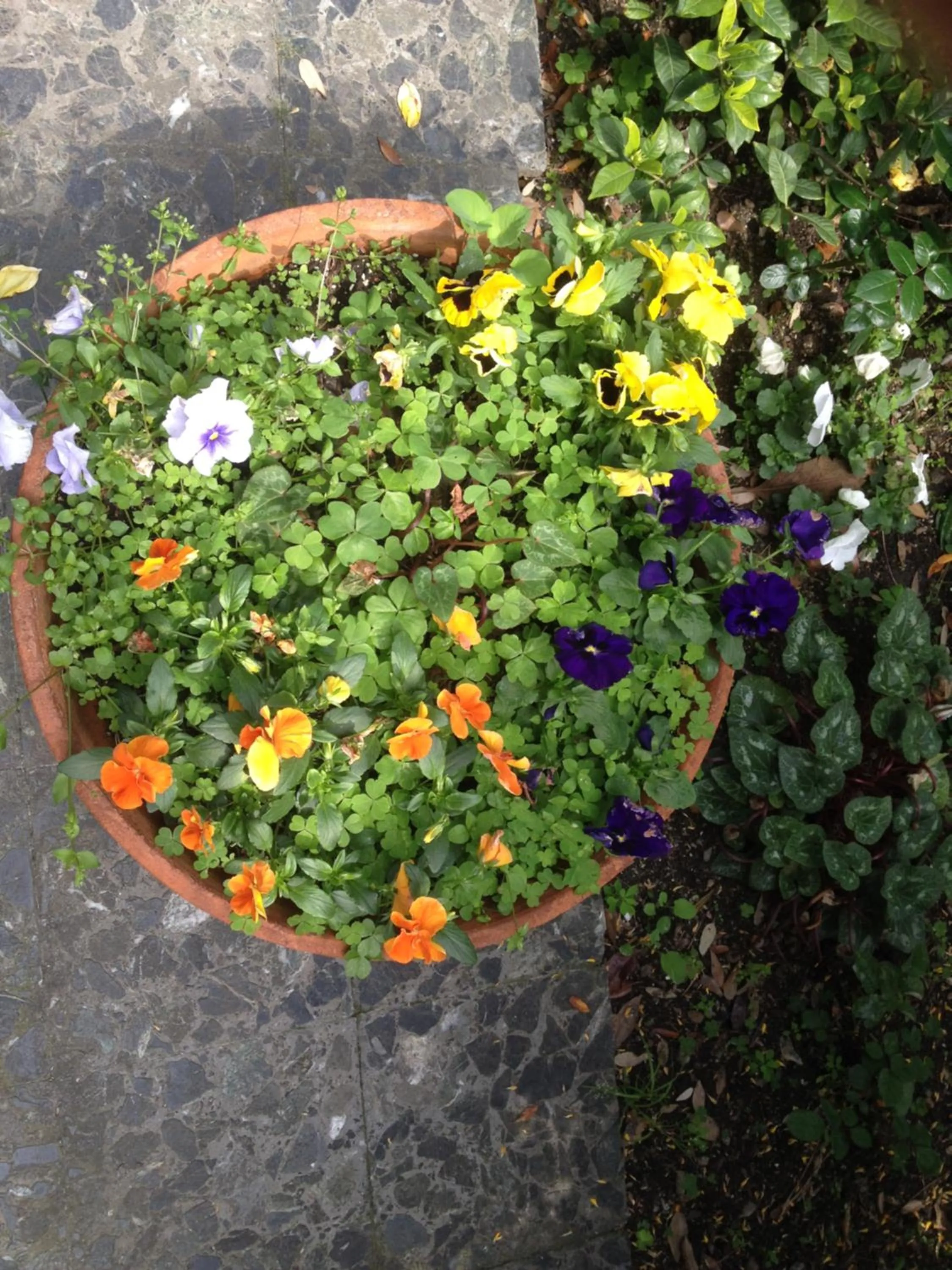 Spring in Hotel Acqua Marina