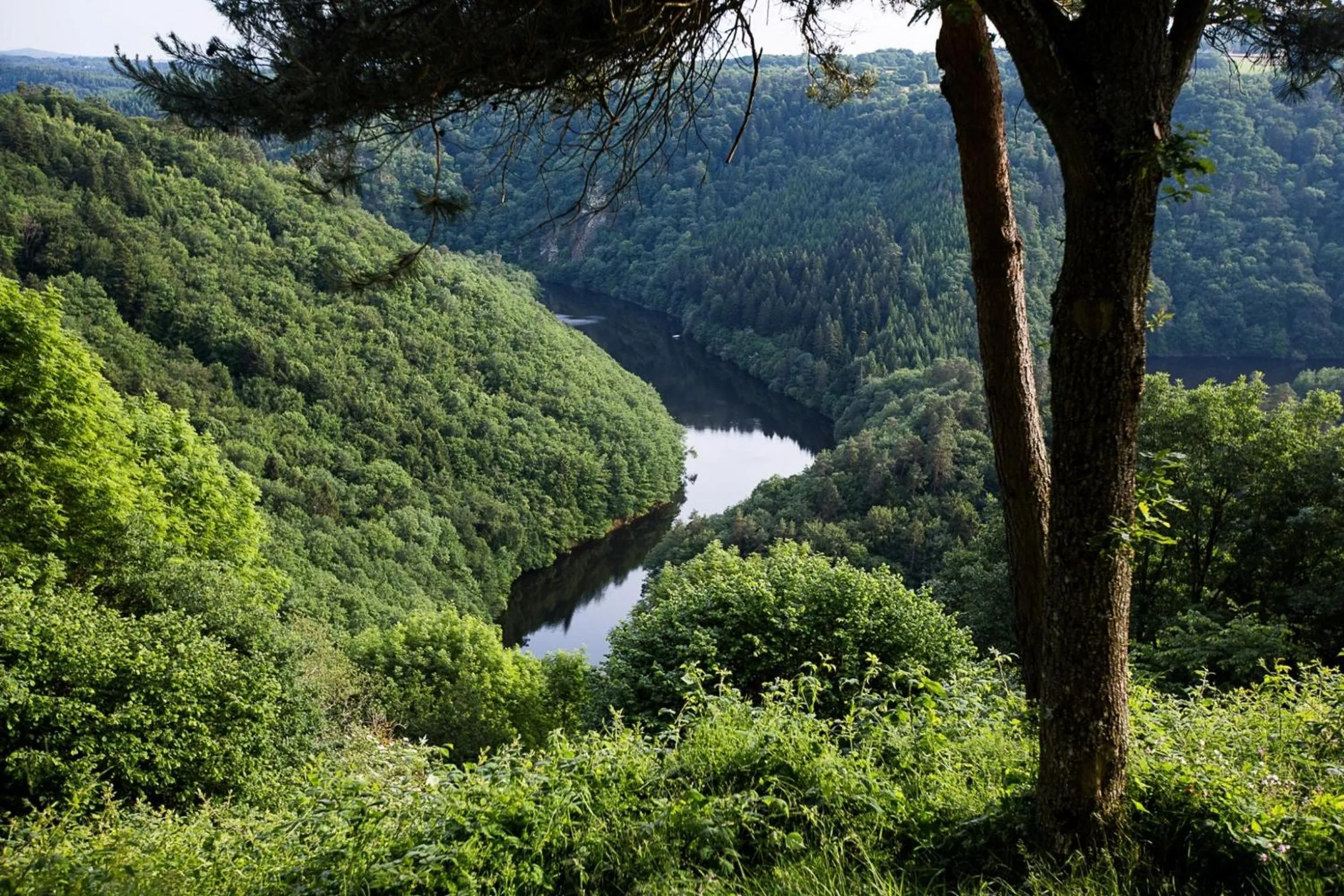 Area and facilities in Logis Hôtel Belle Vue