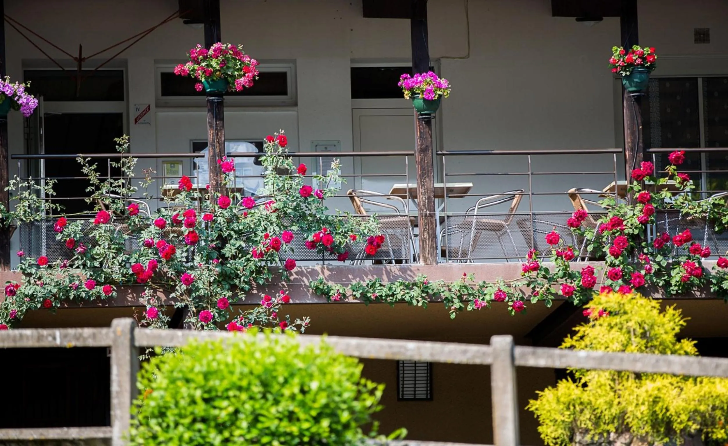 Facade/entrance in Logis Hôtel Belle Vue