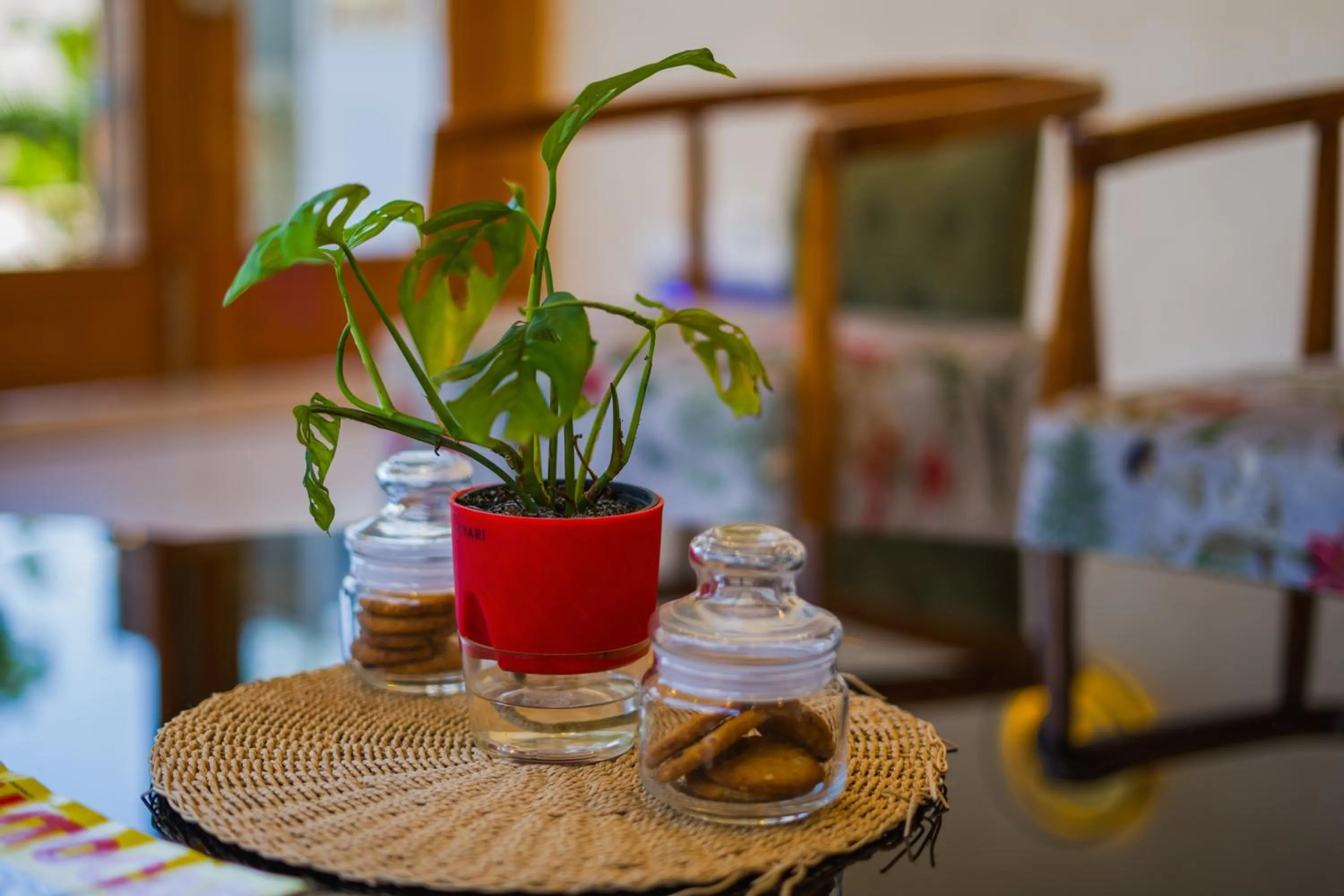 Lobby or reception in The Mohua - A Boutique Hotel