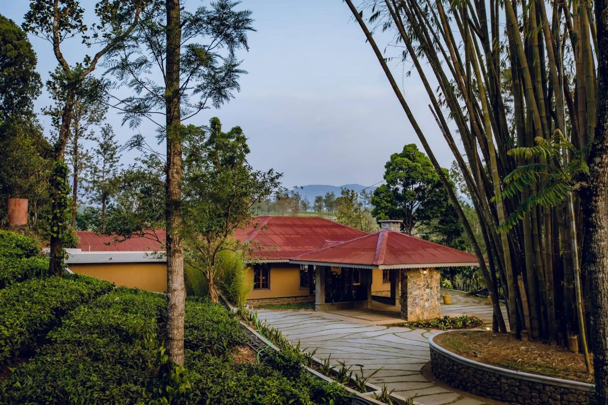 Restaurant/places to eat in Misty Mountain Experience