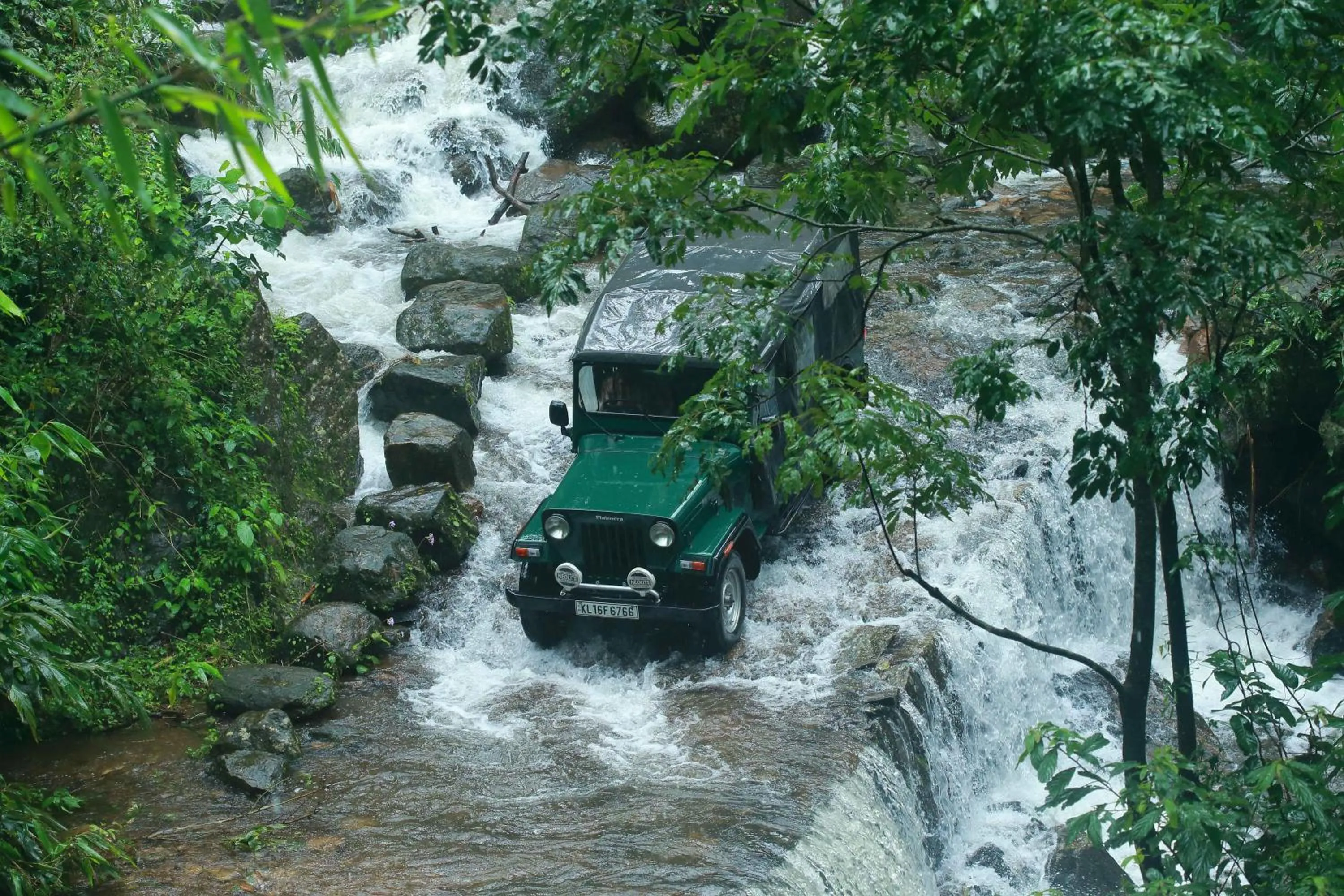 Activities in Misty Mountain Experience