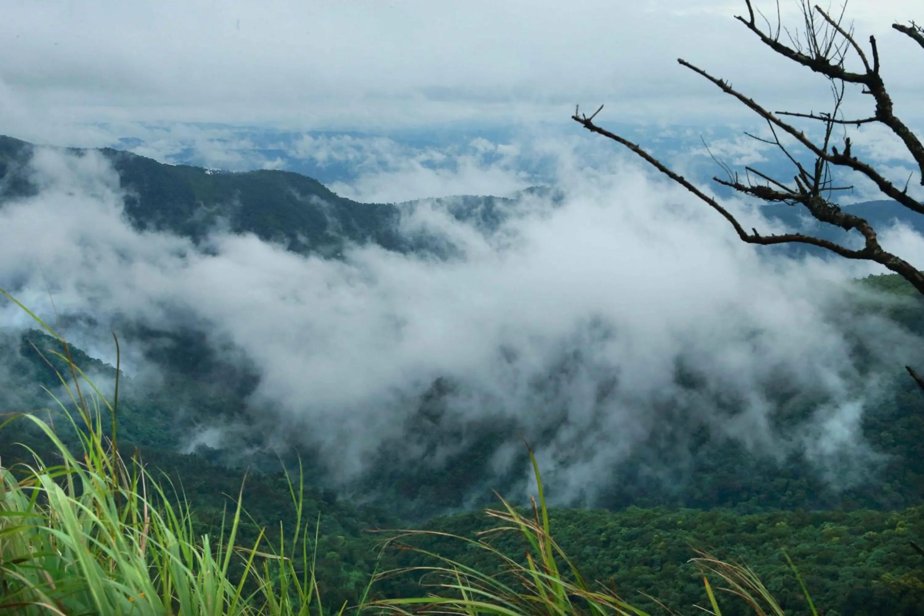 Natural landscape in Misty Mountain Experience