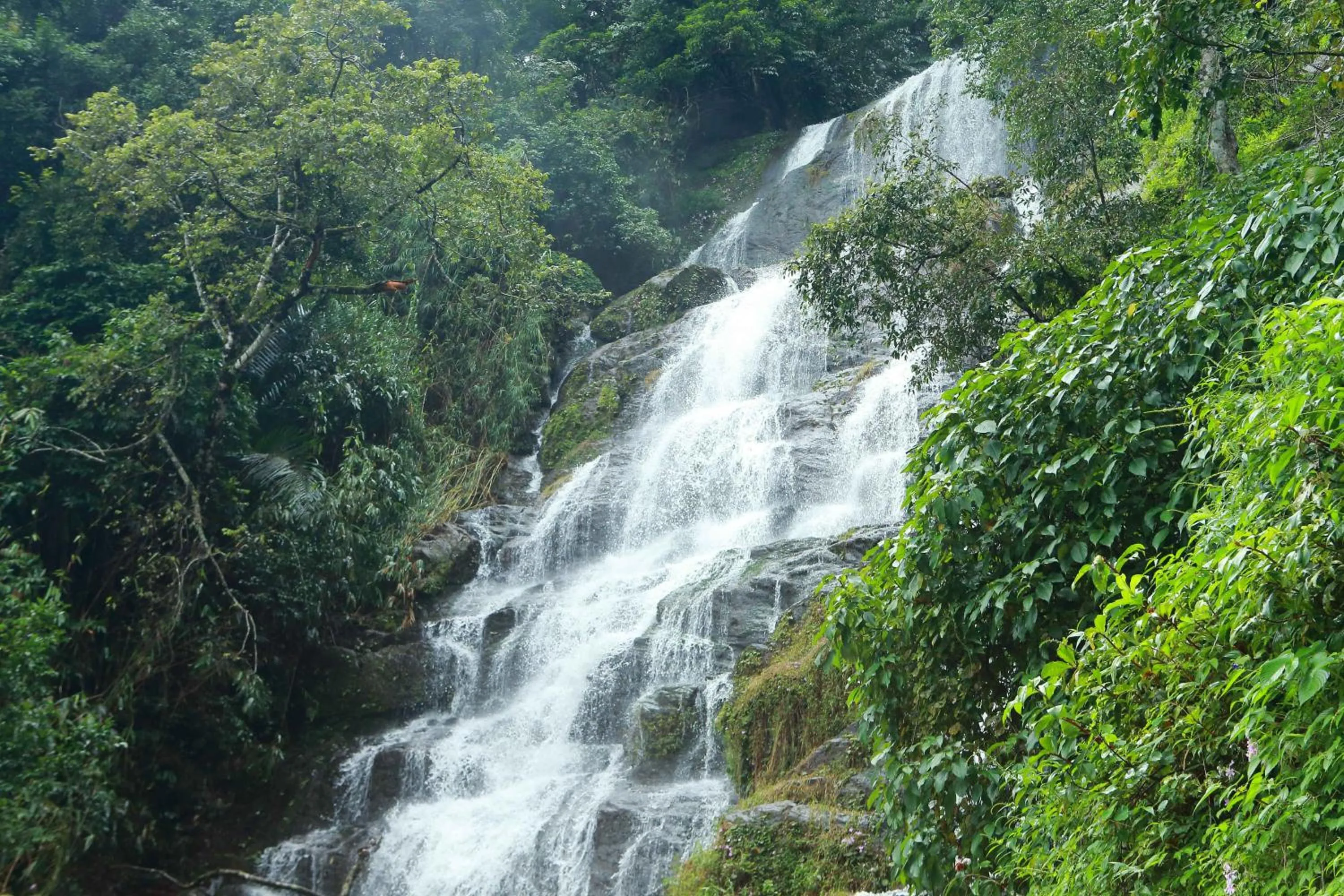 Natural landscape in Misty Mountain Experience