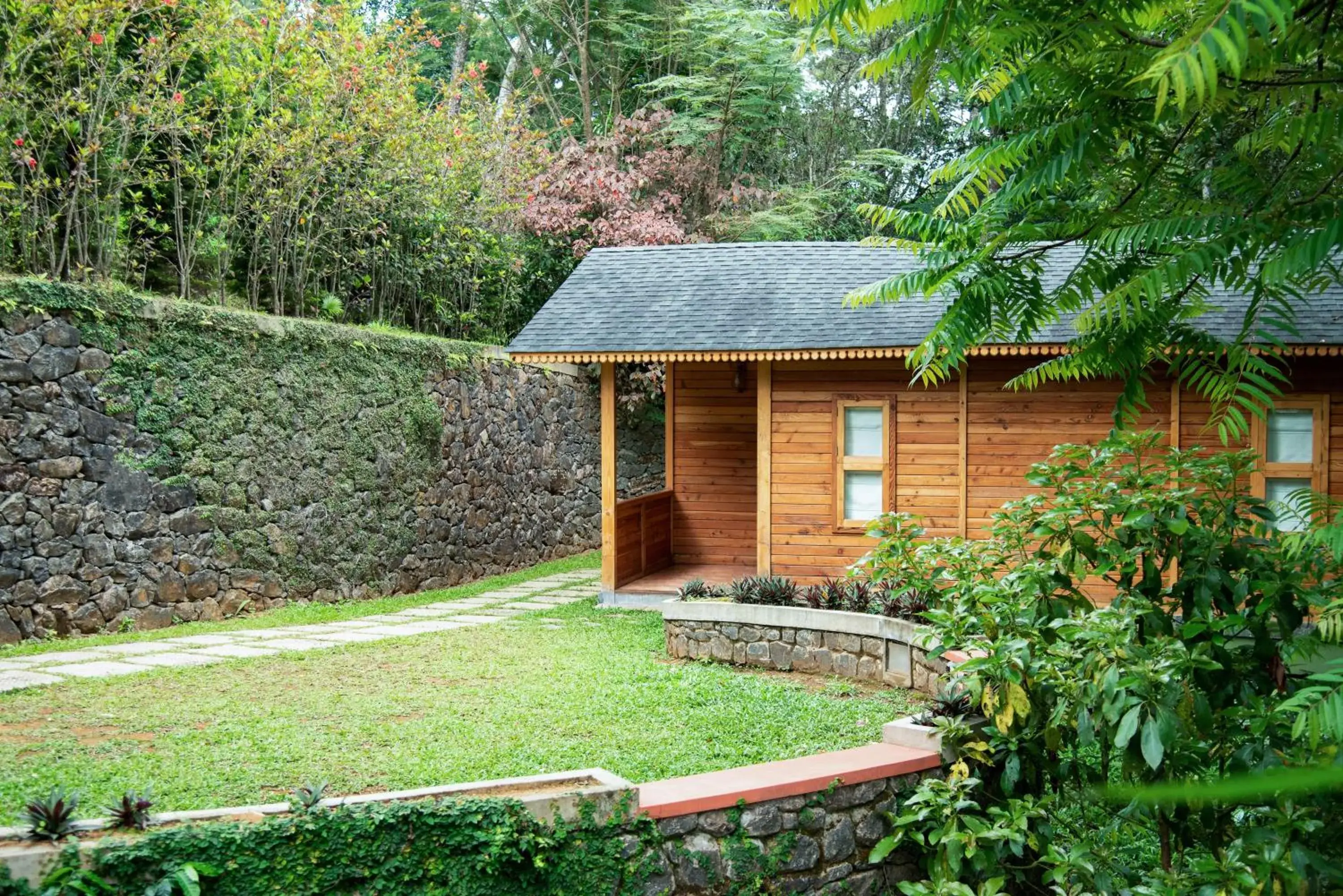 Misty Mountain Experience Misty Mountain Experience