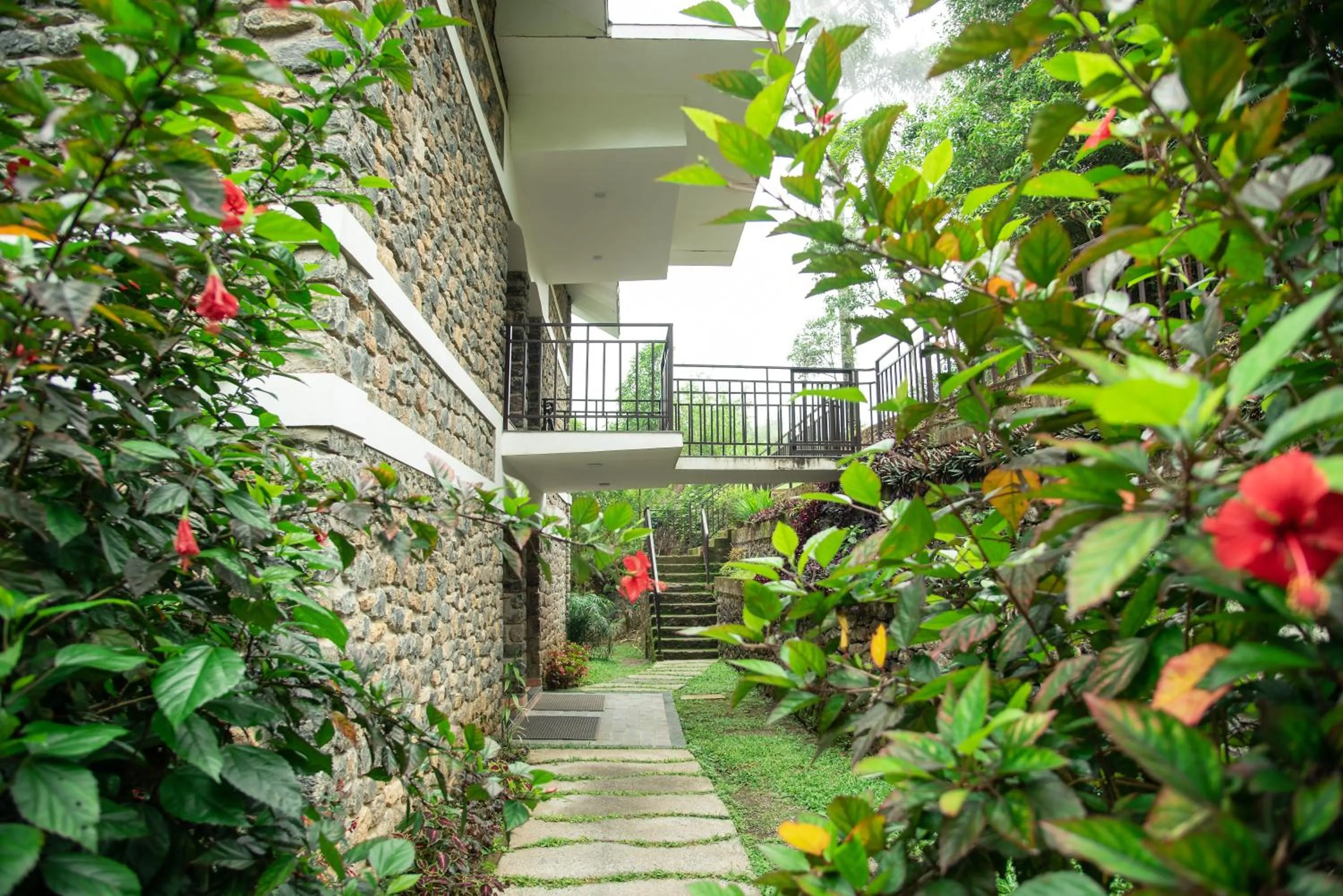 Property building in Misty Mountain Experience