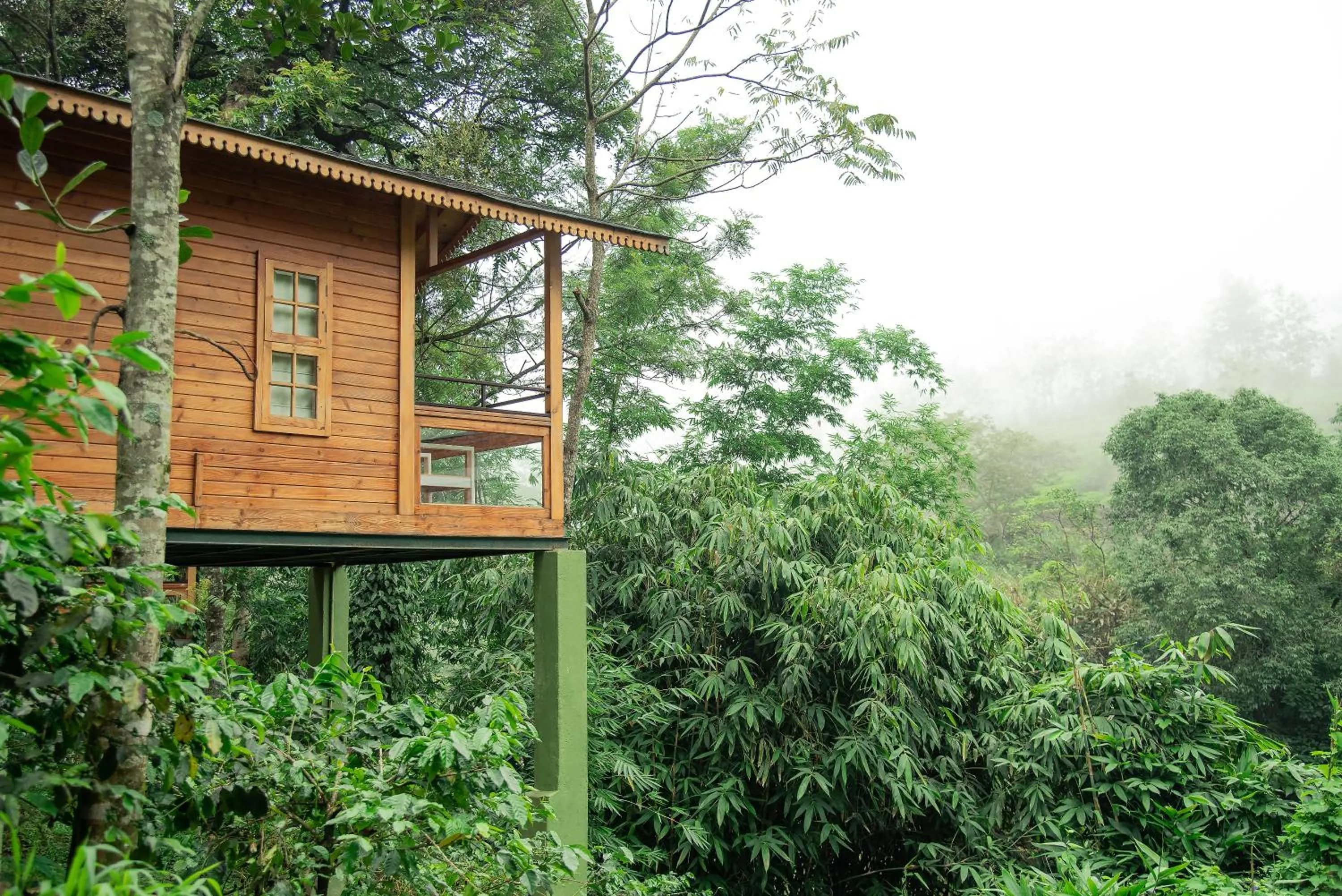 Property building in Misty Mountain Experience