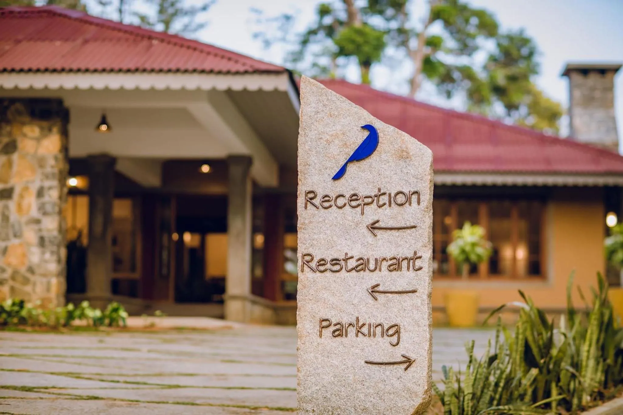 Restaurant/places to eat in Misty Mountain Experience