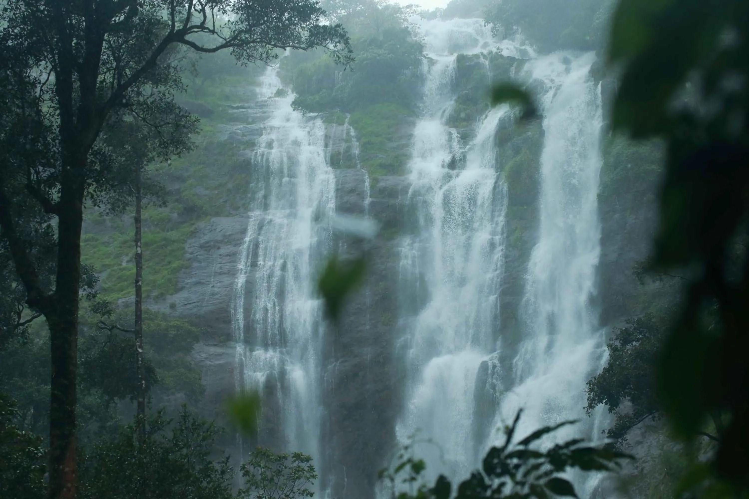 Activities in Misty Mountain Experience