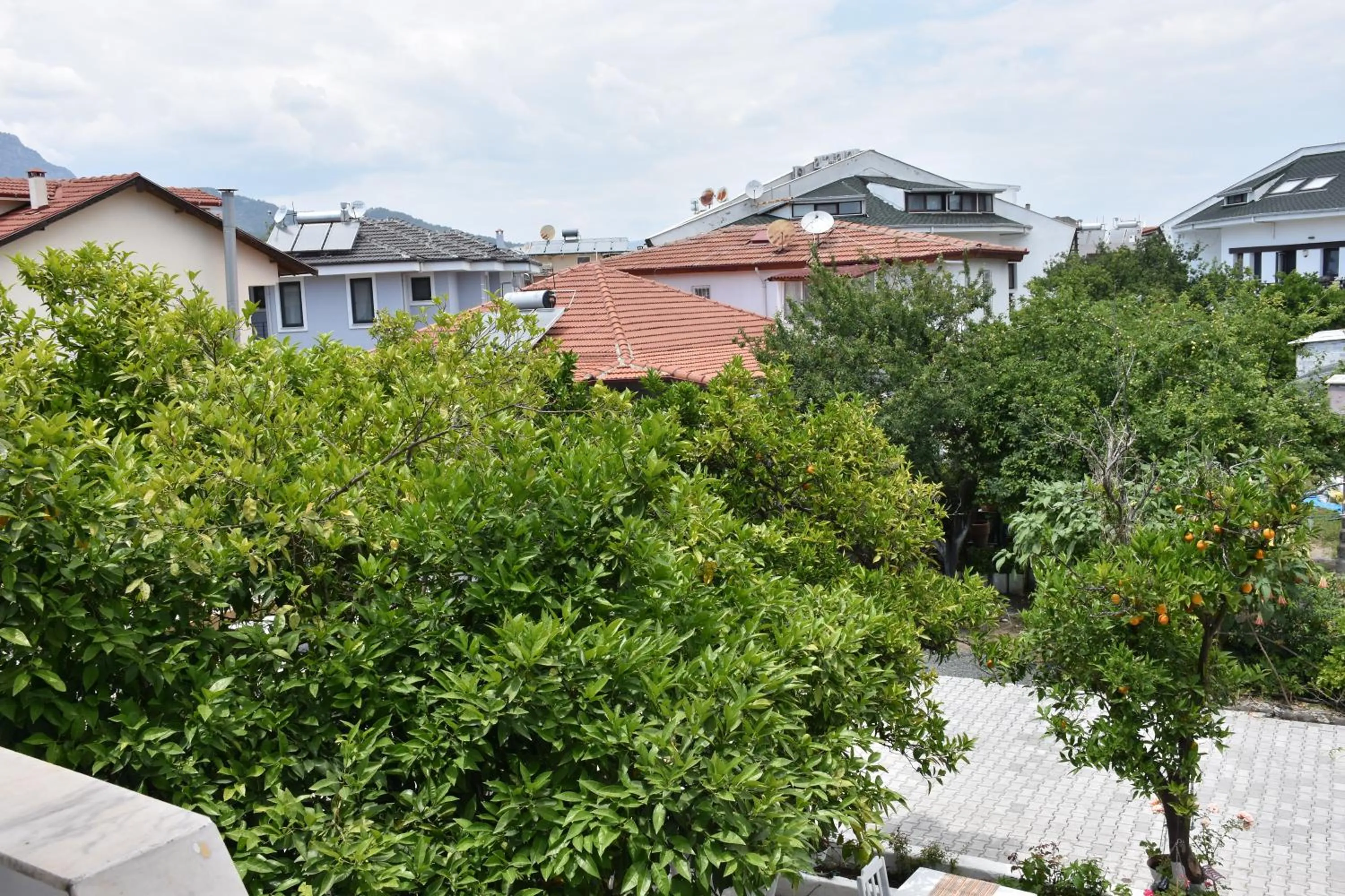 Natural landscape in La Sorella