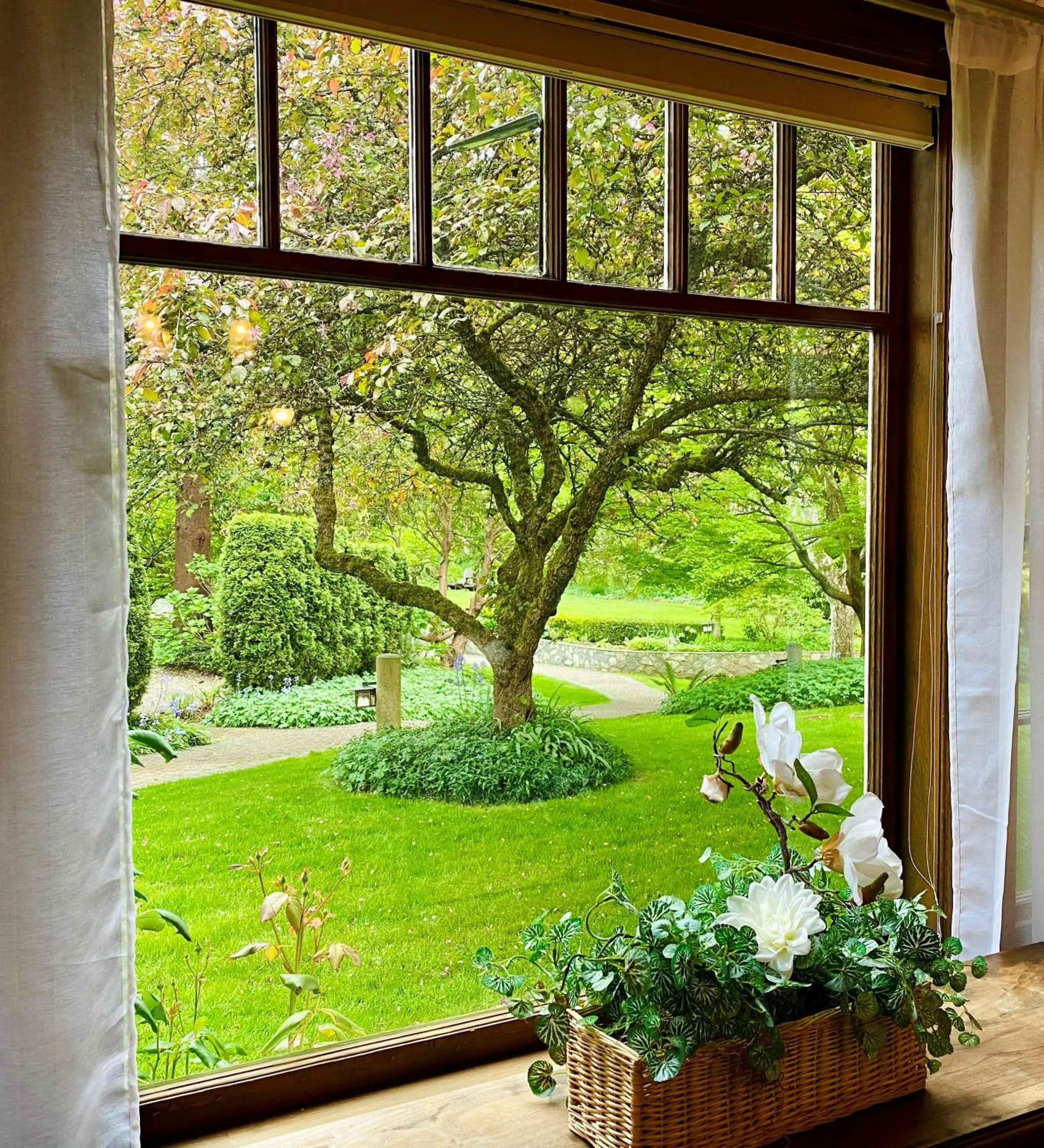 Garden view in The Latch Inn