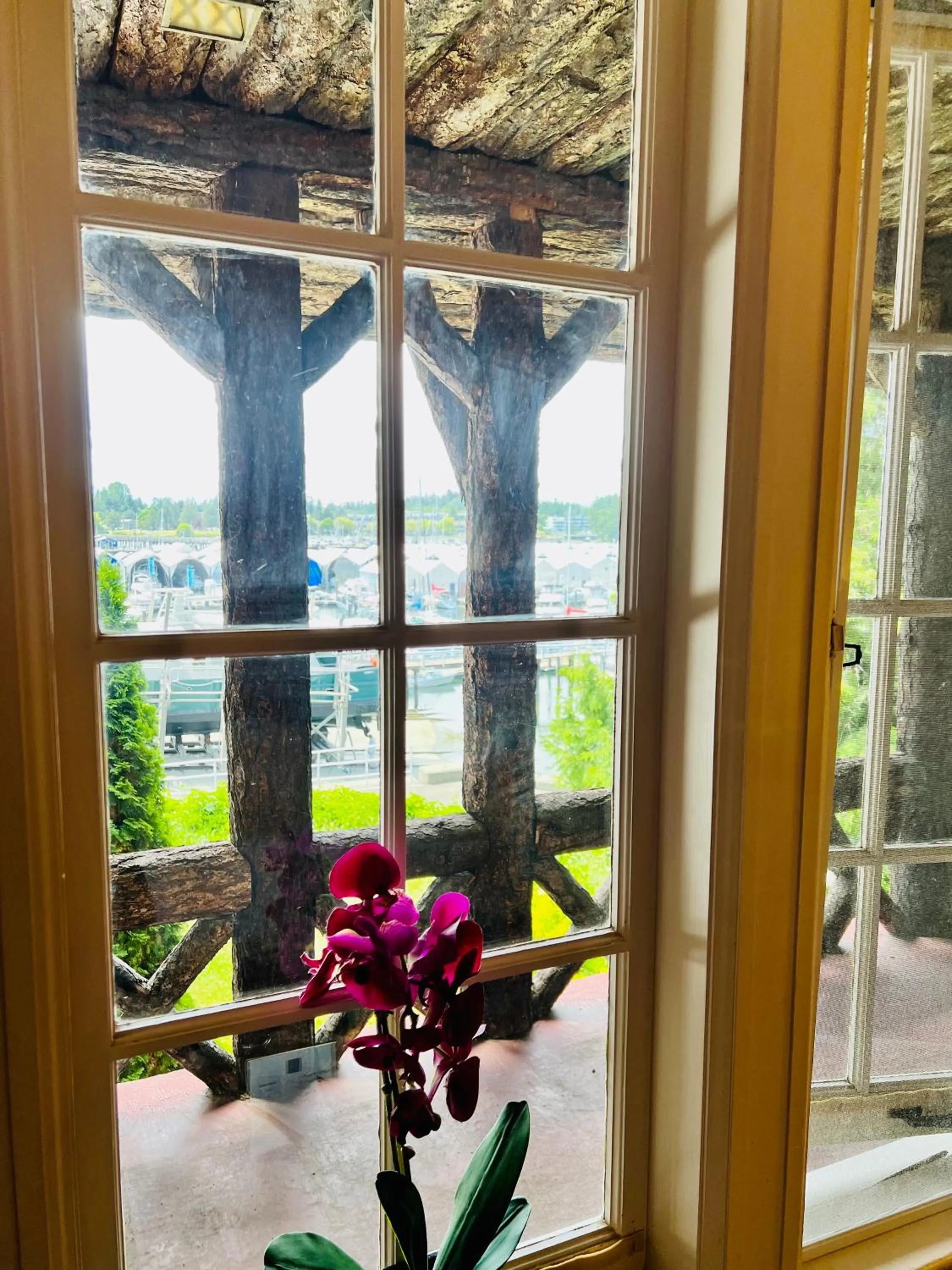 View (from property/room) in The Latch Inn