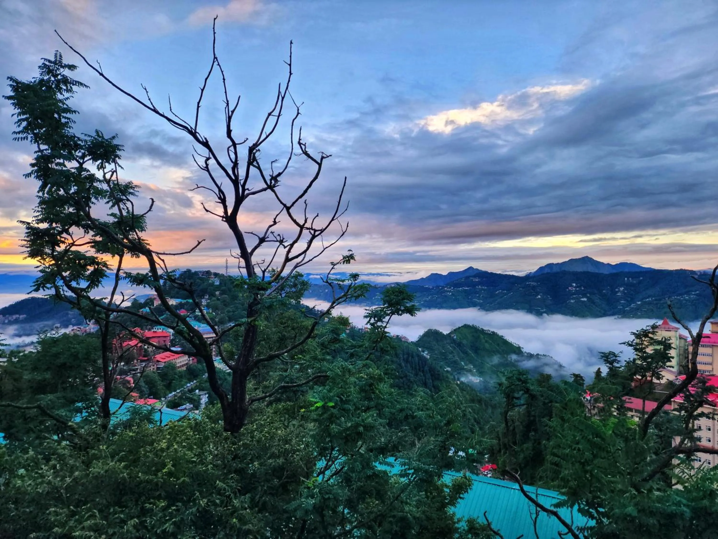 The Ashoka Inn 300mts walkable from Mall Road