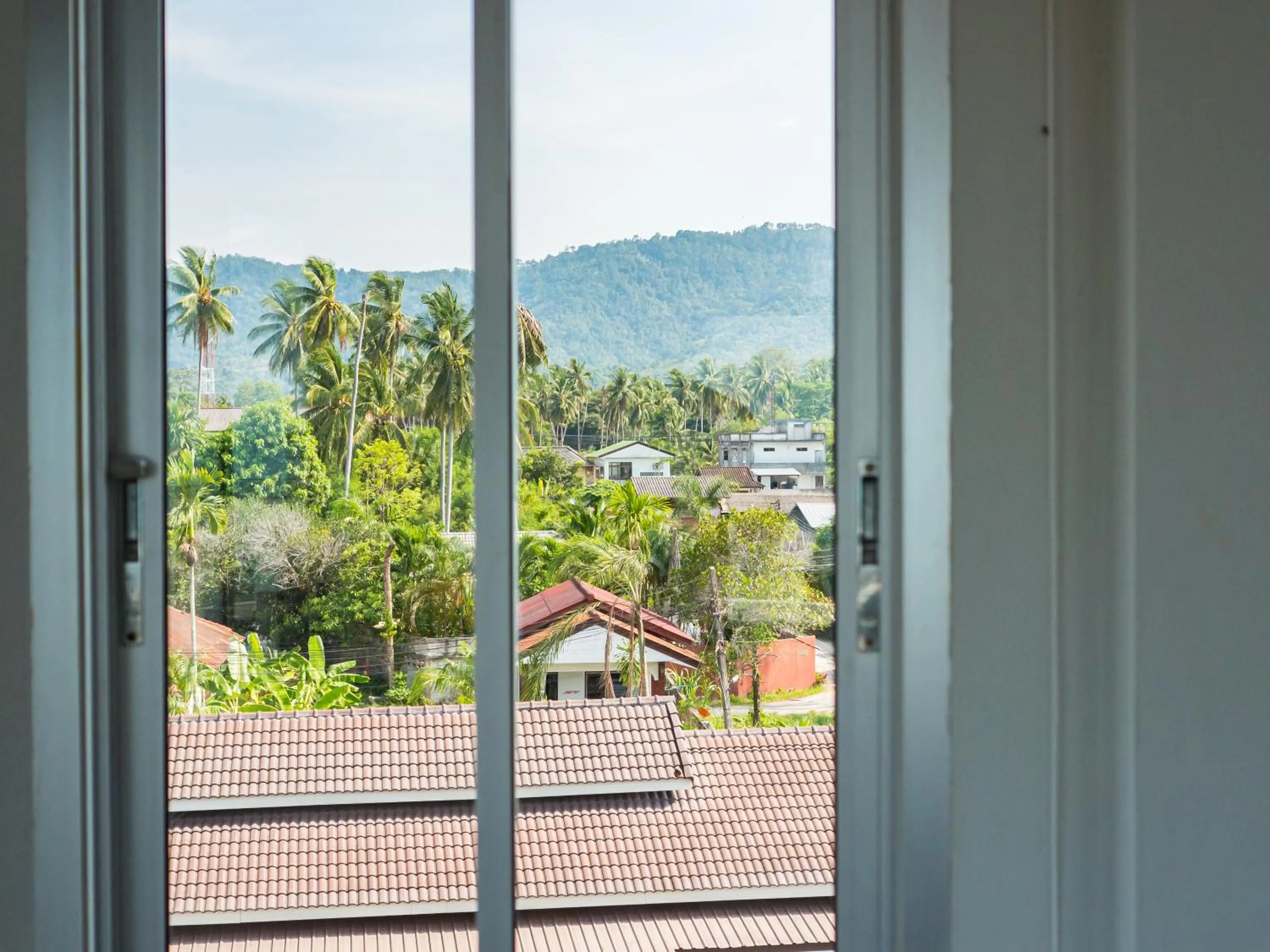 Day in Lemon House apartment