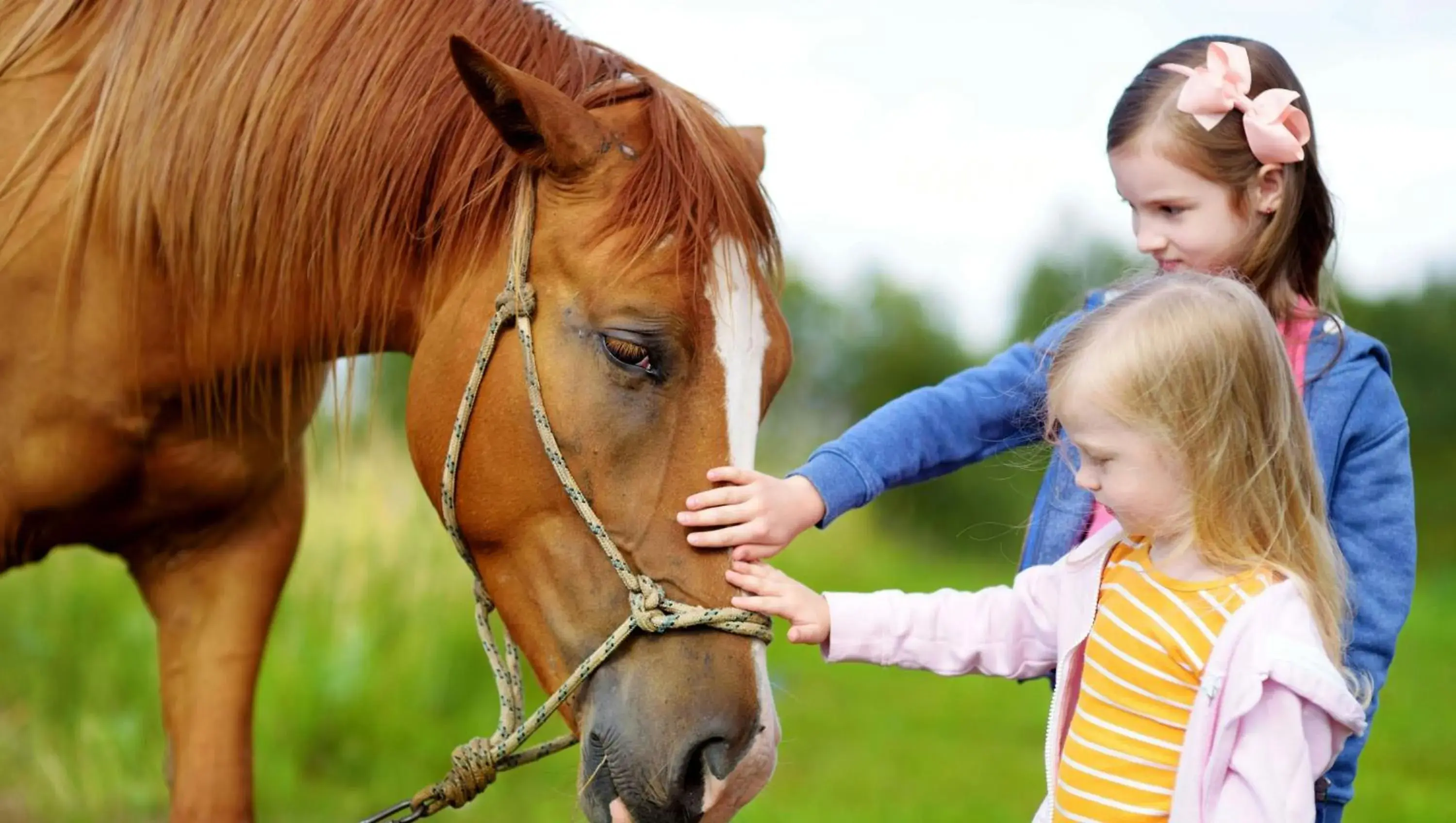 Charles Wesley Motor Lodge Downtown Broken Bow- Hochatown Charles Wesley Motor Lodge Downtown Broken Bow- Hochatown