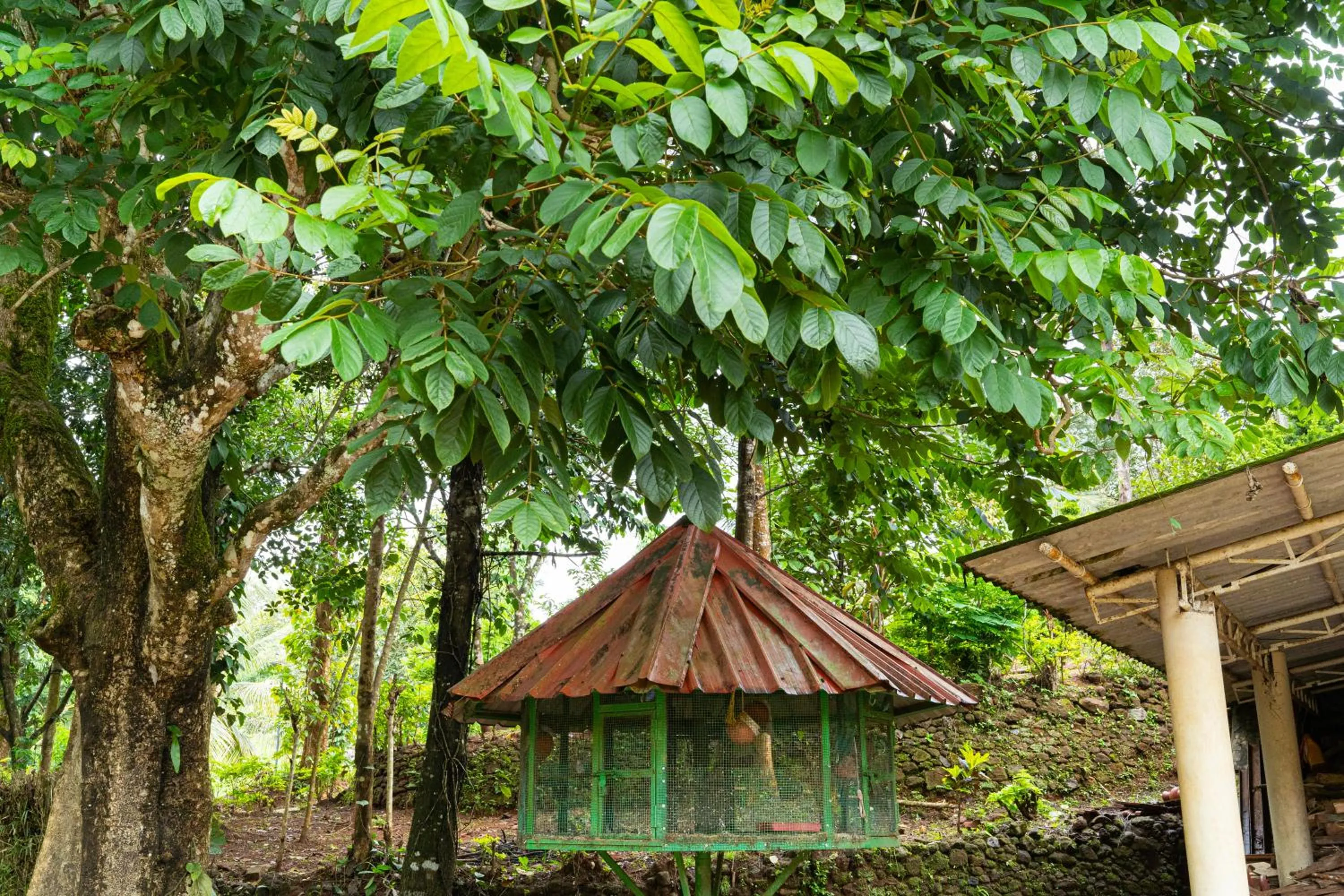 Natural landscape in Misty Heights by The Sanihara