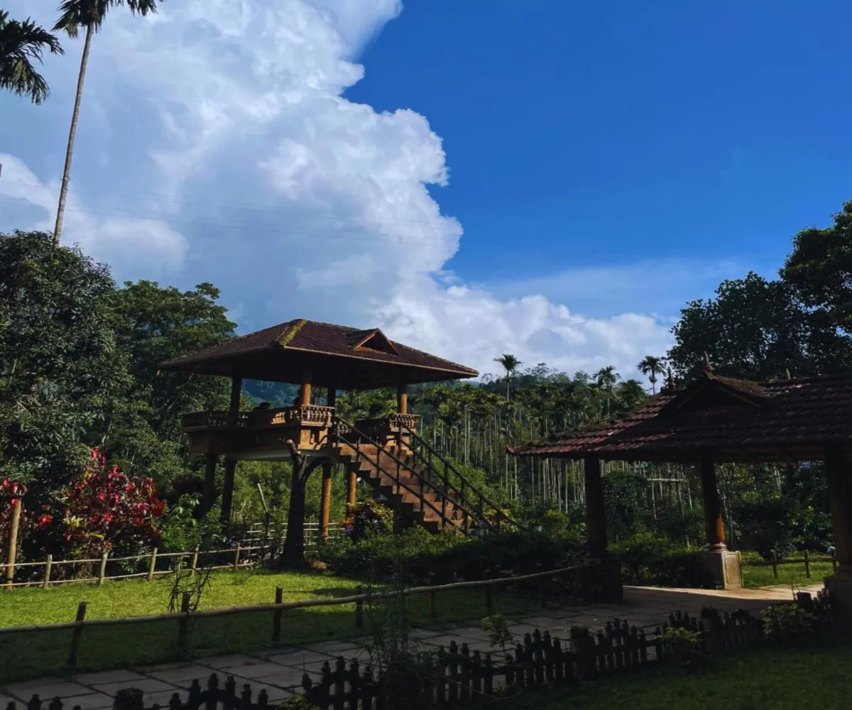 Misty Heights by The Sanihara