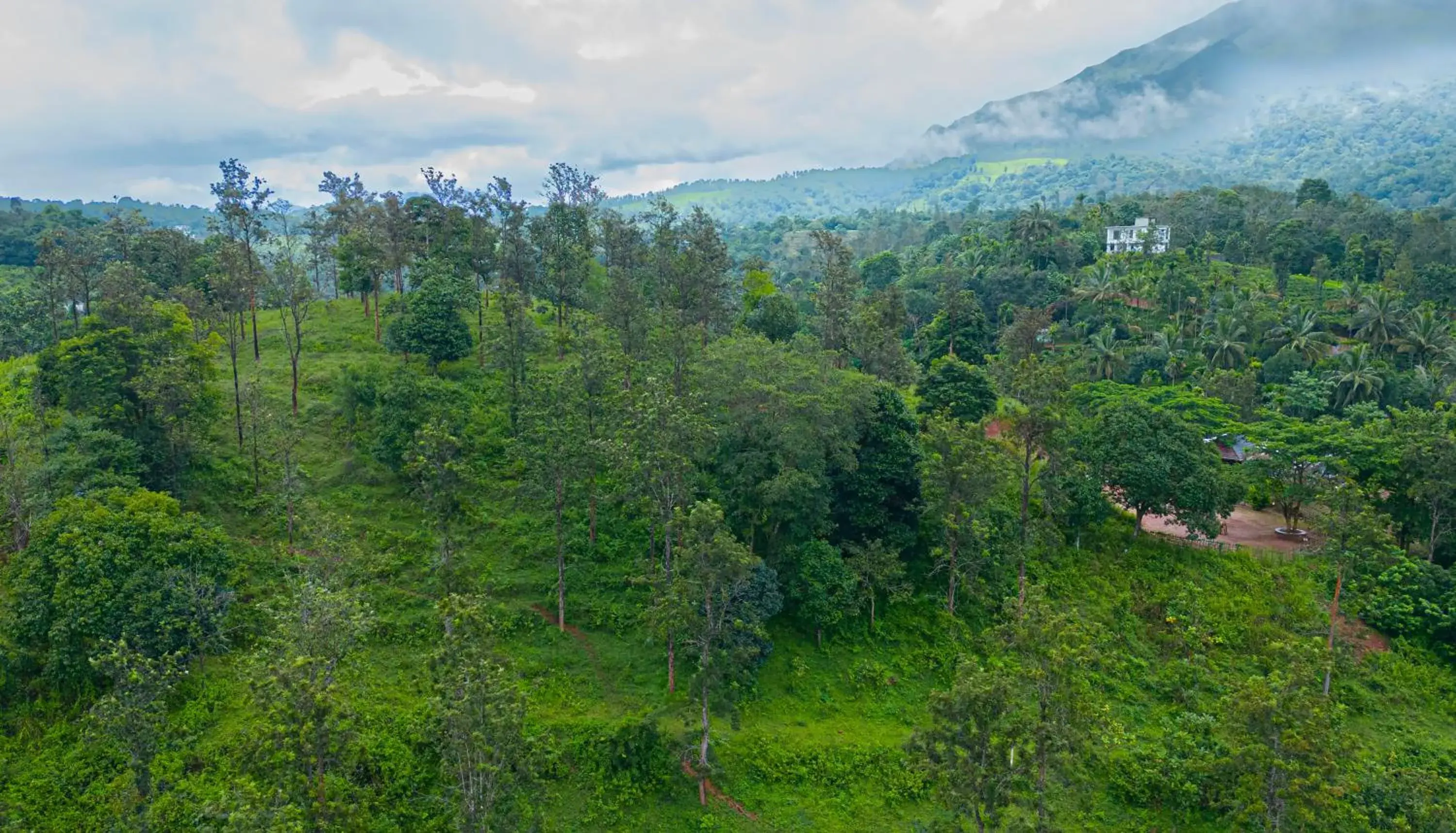 View (from property/room) in Misty Heights by The Sanihara View (from property/room) in Misty Heights by The Sanihara