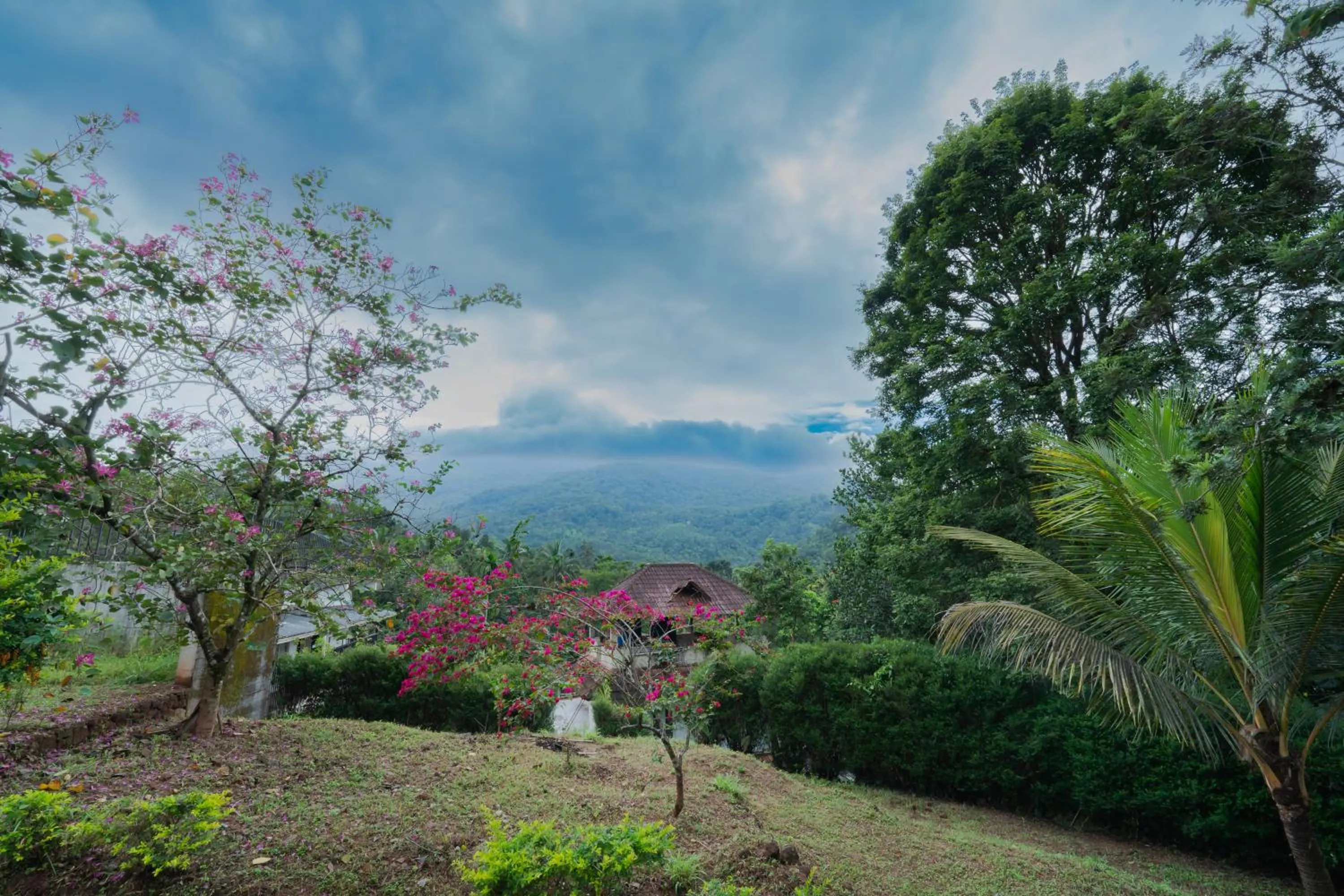 View (from property/room) in Misty Heights by The Sanihara
